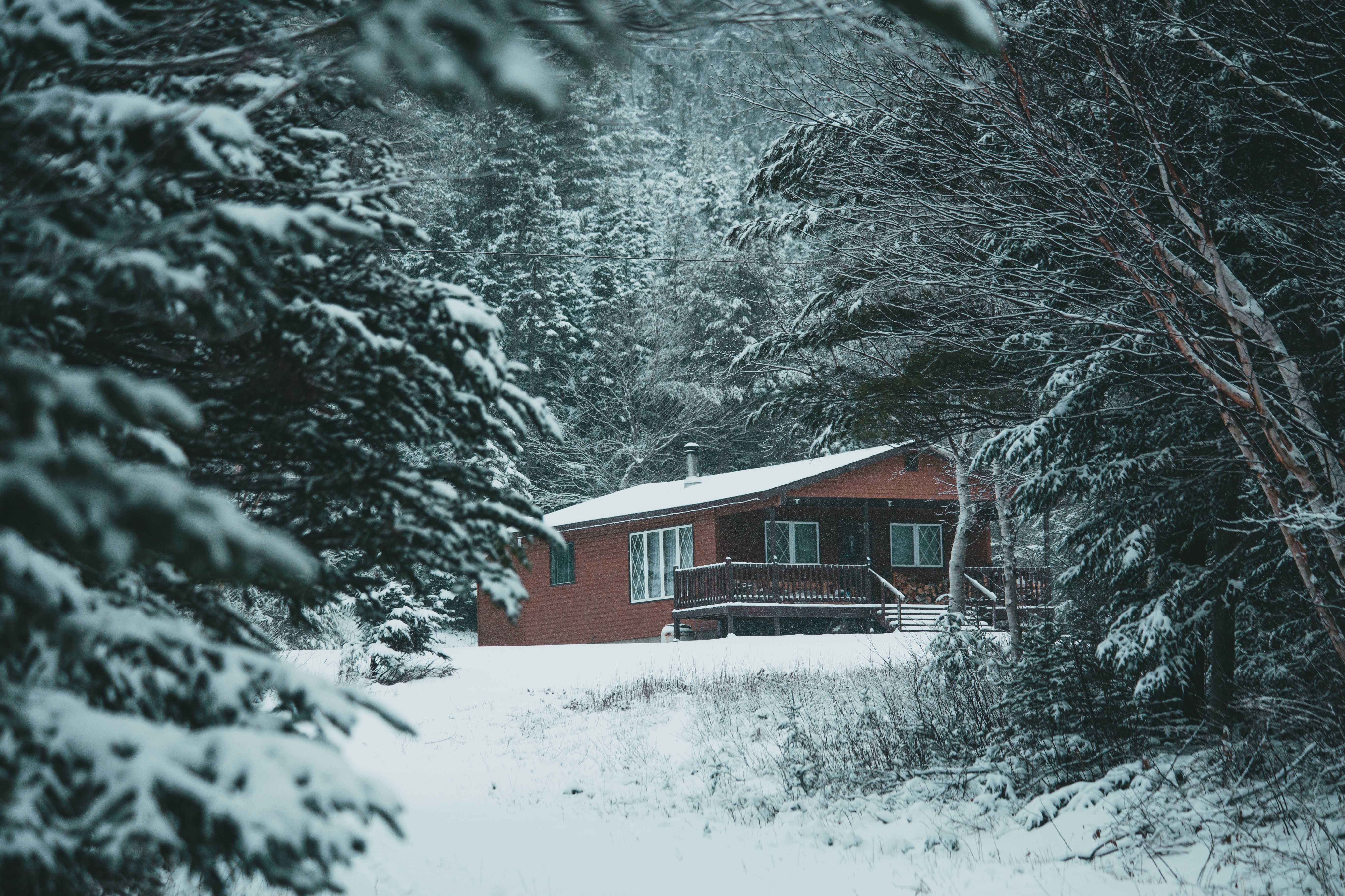 Ein kleines Haus im Wald in den Bergen | Quelle: Pexels