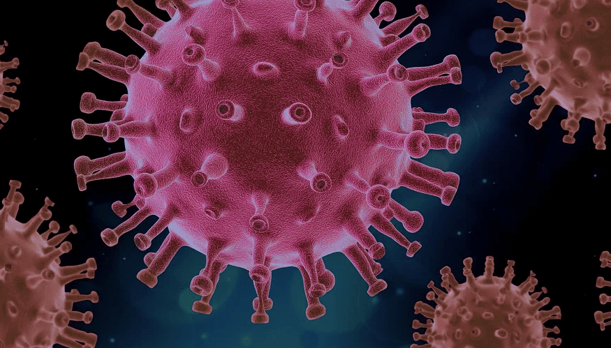 Eine schematische 3D-Darstellung des Covid 19-Virus I Source: Pixabay