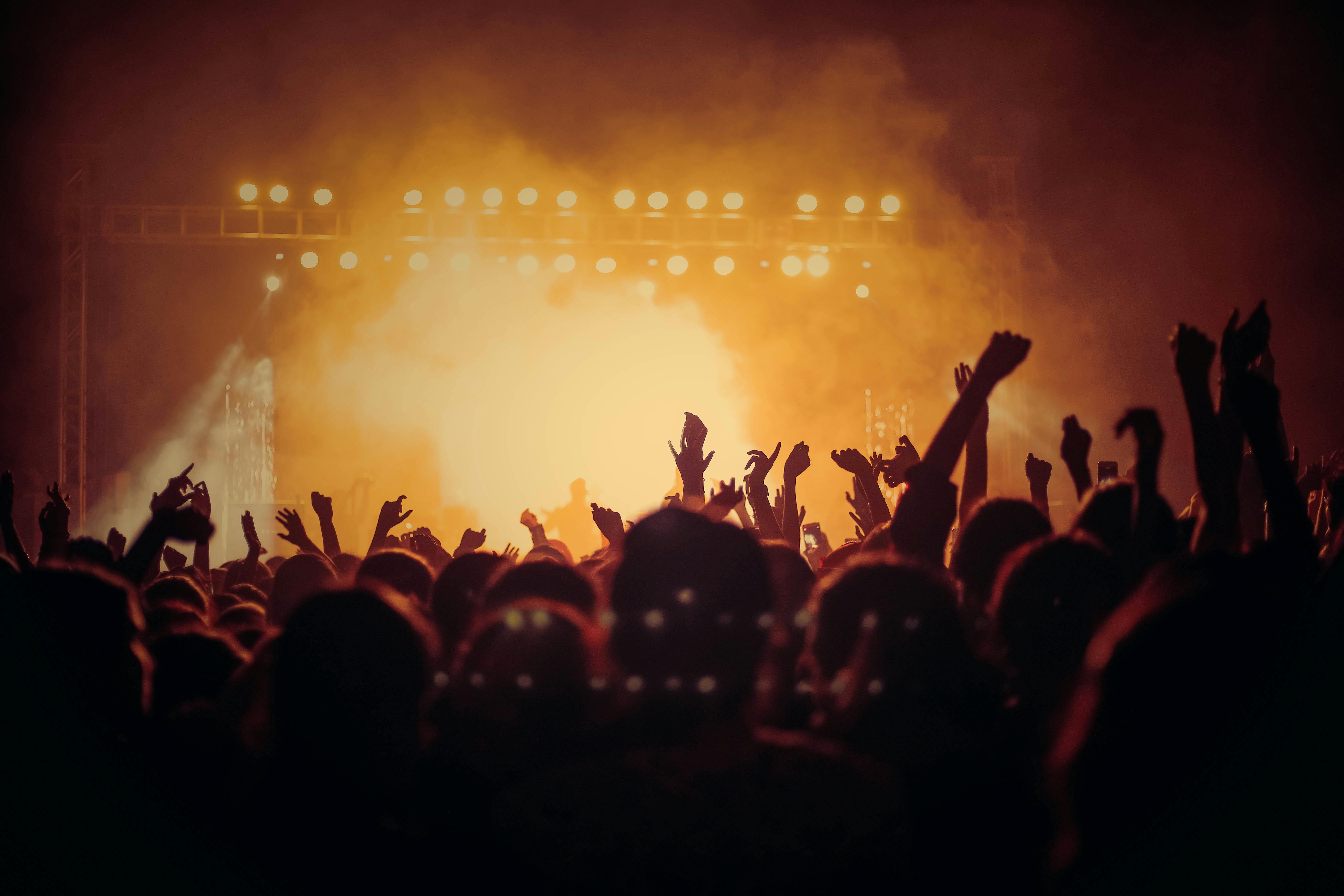 Fans bei einem Konzert | Quelle: Pexels