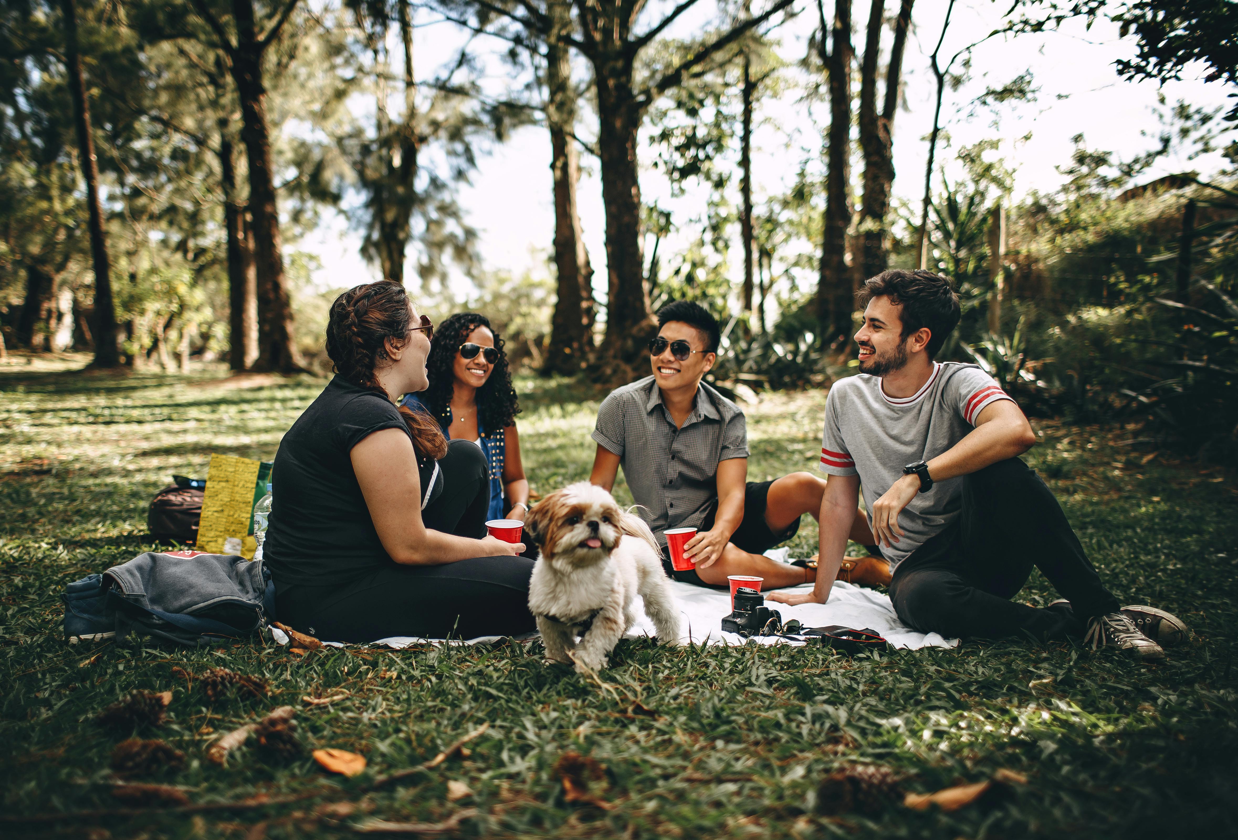 Freunde bei einem Picknick | Quelle: Pexels