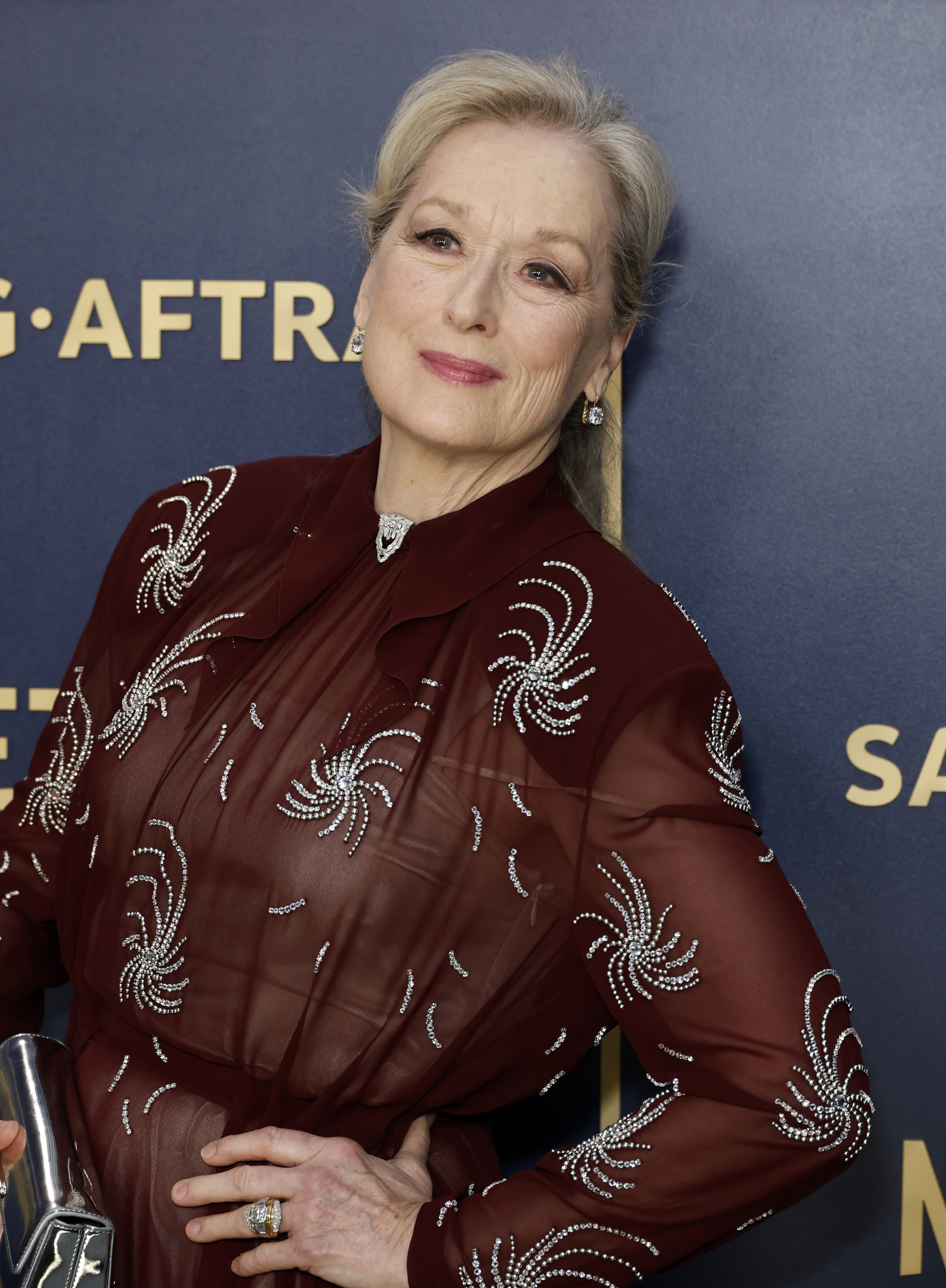 Meryl Streep bei den 30th Annual Screen Actors Guild Awards am 24. Februar 2024 | Quelle: Getty Images