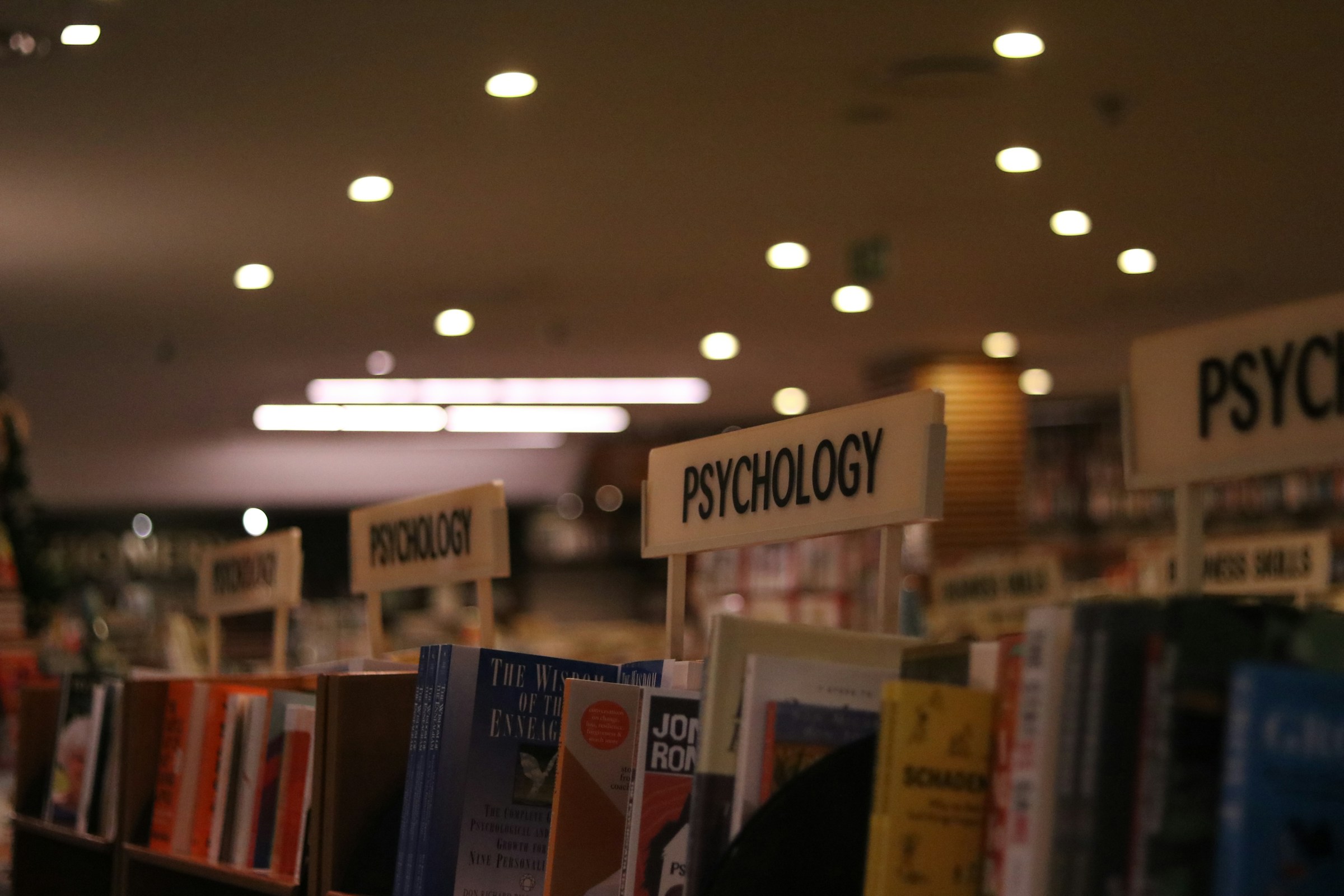 Eine Reihe von Psychologie-Lehrbüchern | Quelle: Unsplash