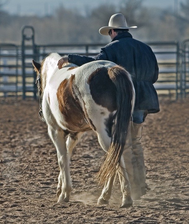 Ein Foto von einem Cowboy mit seinem Pferd. | Quelle: Pixabay