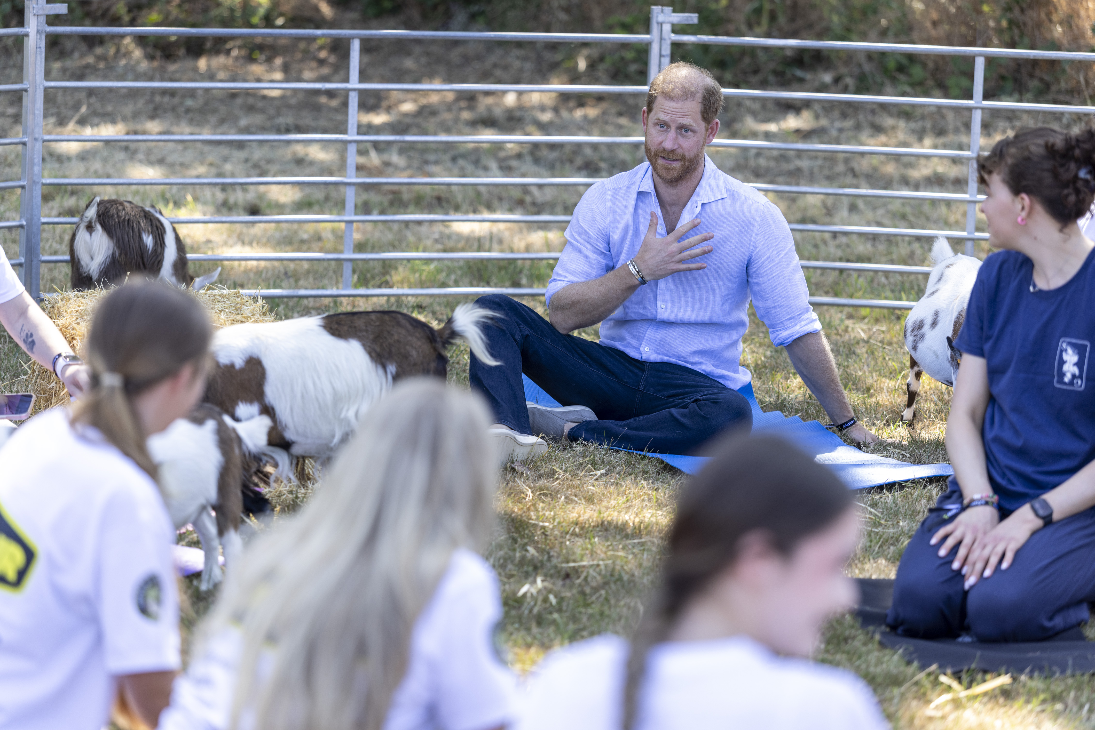 Prinz Harry hat diese Woche allein an mehreren Veranstaltungen teilgenommen. Wie auf diesem Foto zu sehen ist, hat er am 11. Juli 2026 beim „Scotty’s Summer Festival“ im Maxstoke Castle in Birmingham, England, an Ziegen-Yoga teilgenommen. | Quelle: Getty Images