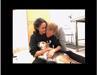 Meghan Markle und Prinz Harry mit Guy, aus einem Beitrag vom 7. Januar 2025 | Quelle: Instagram/meghan