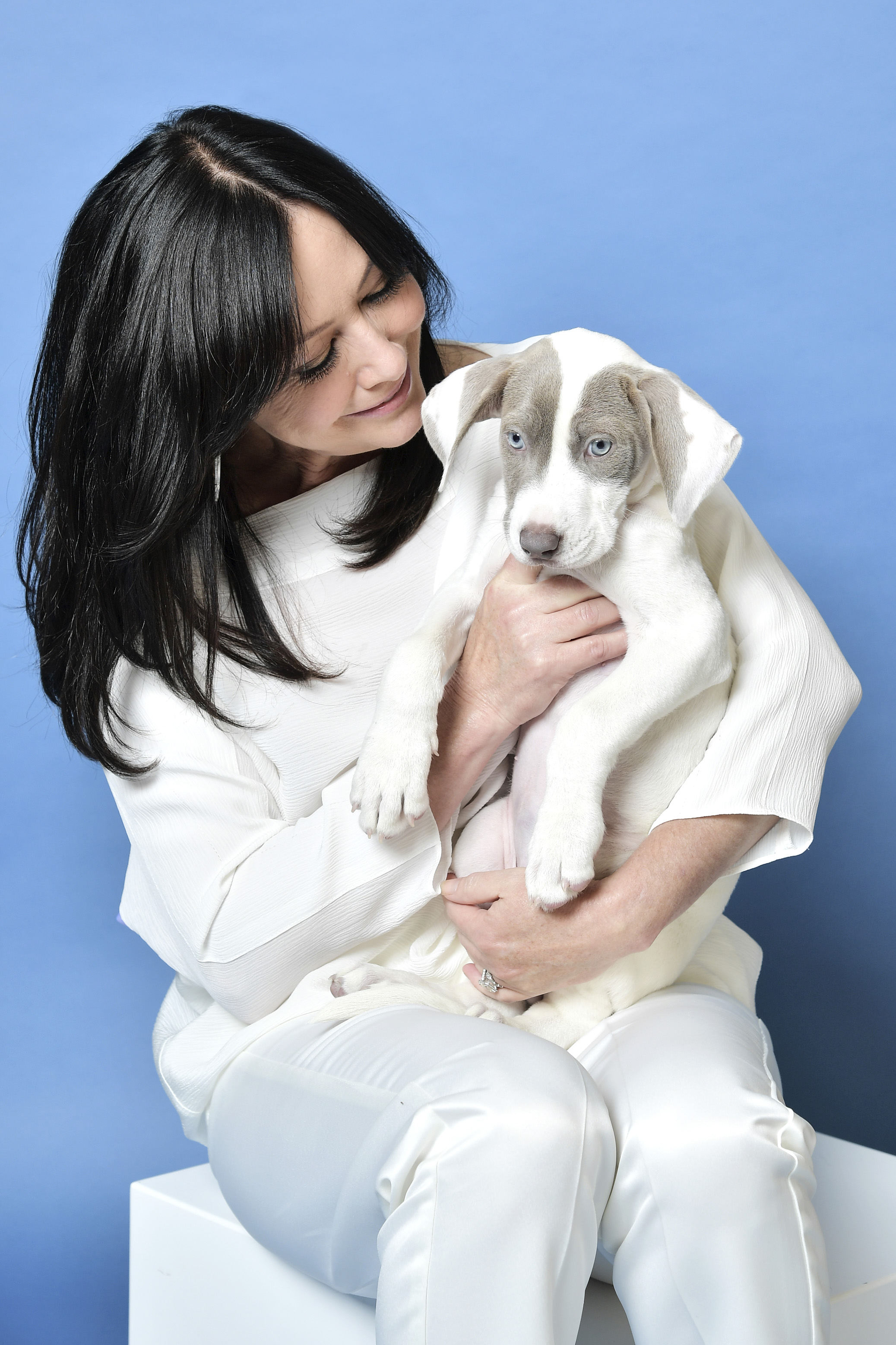 Shannen Doherty bei den Hero Dog Awards 2019 am 5. Oktober 2019 in Beverly Hills, Kalifornien. | Quelle: Getty Images