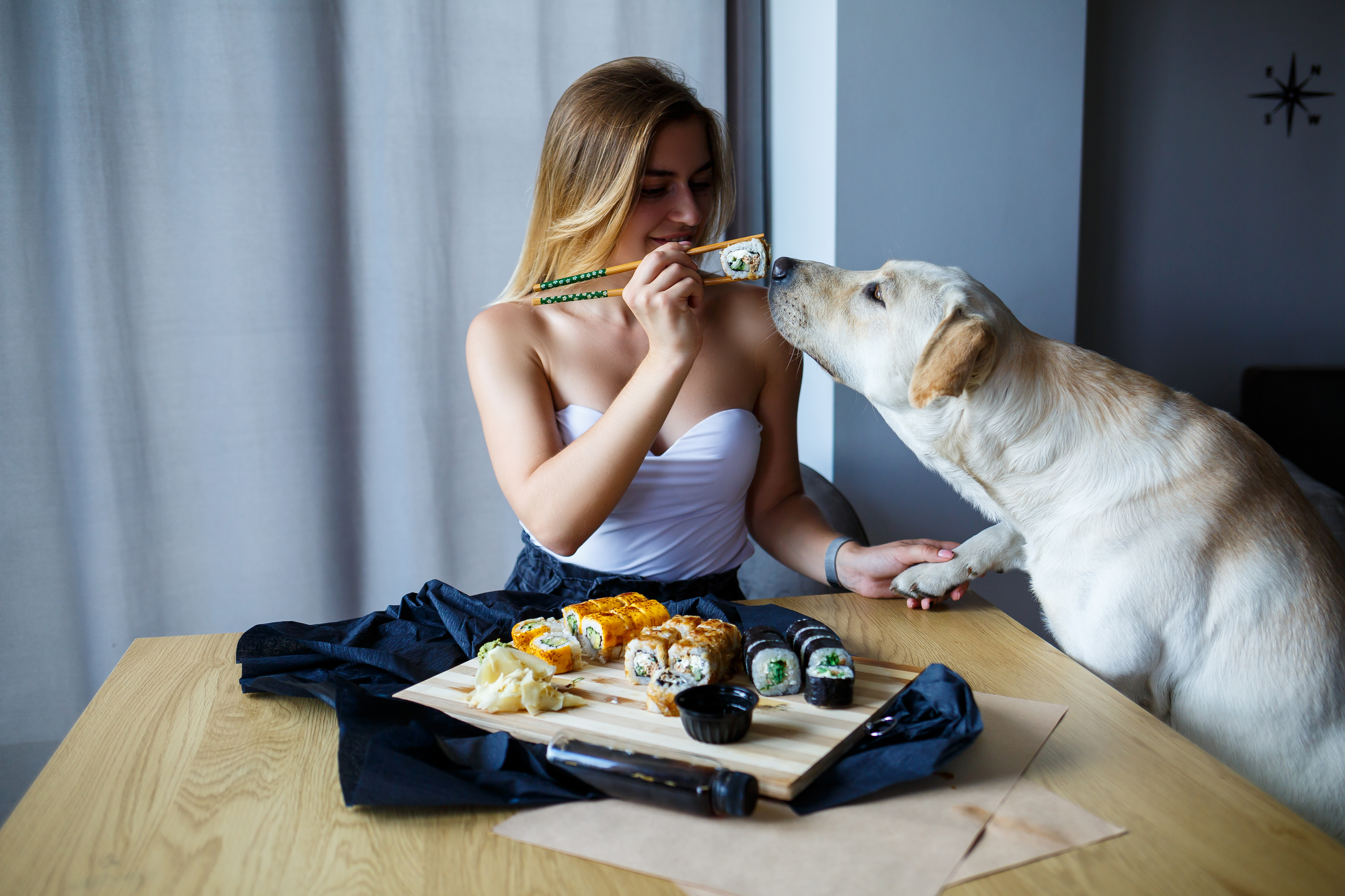 Eine Frau hält ein Stück Sushi, während ein Hund daran schnüffelt. | Quelle: Shutterstock