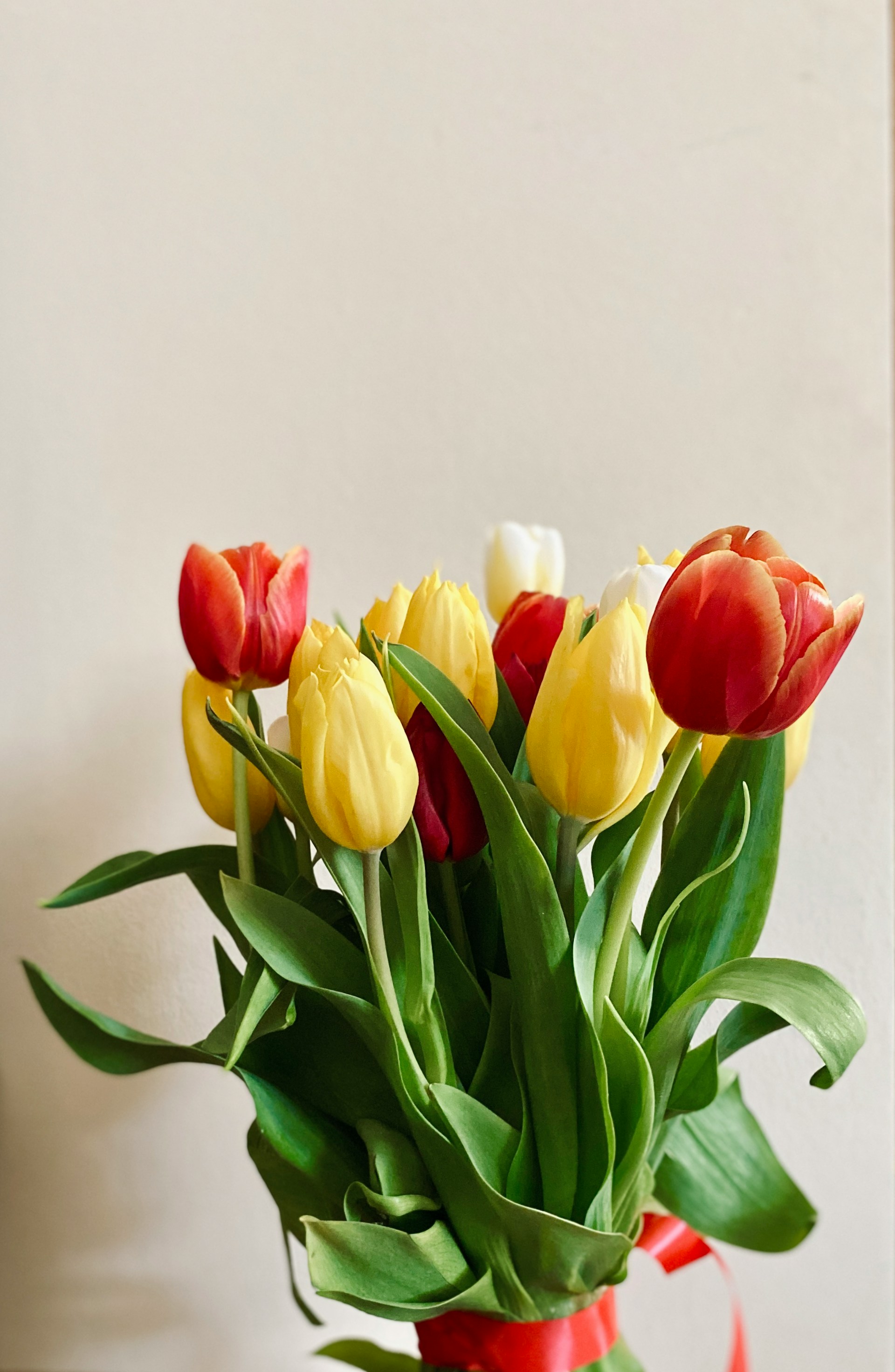 Ein Blumenstrauß aus Tulpen | Quelle: Unsplash