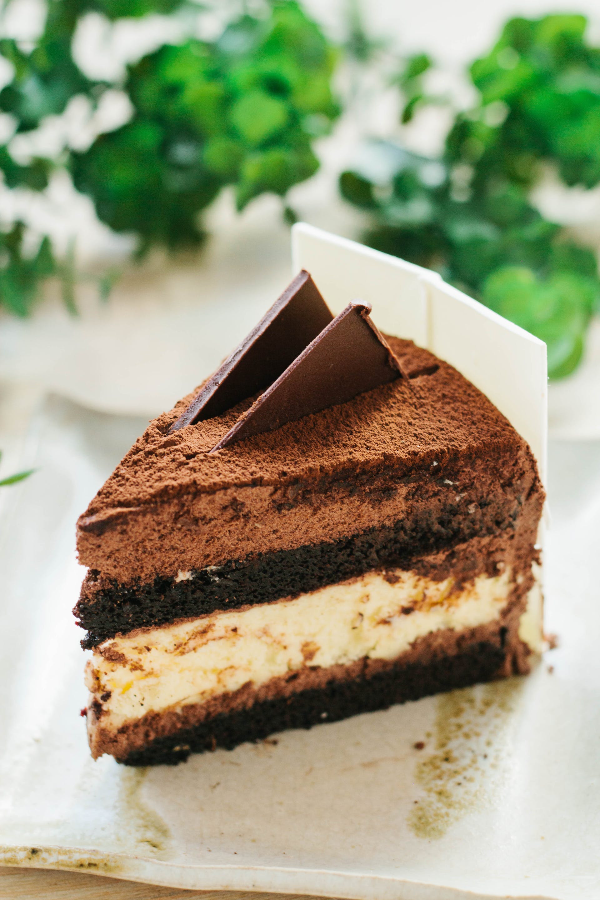 Ein Stück Schokoladenkuchen | Quelle: Pexels