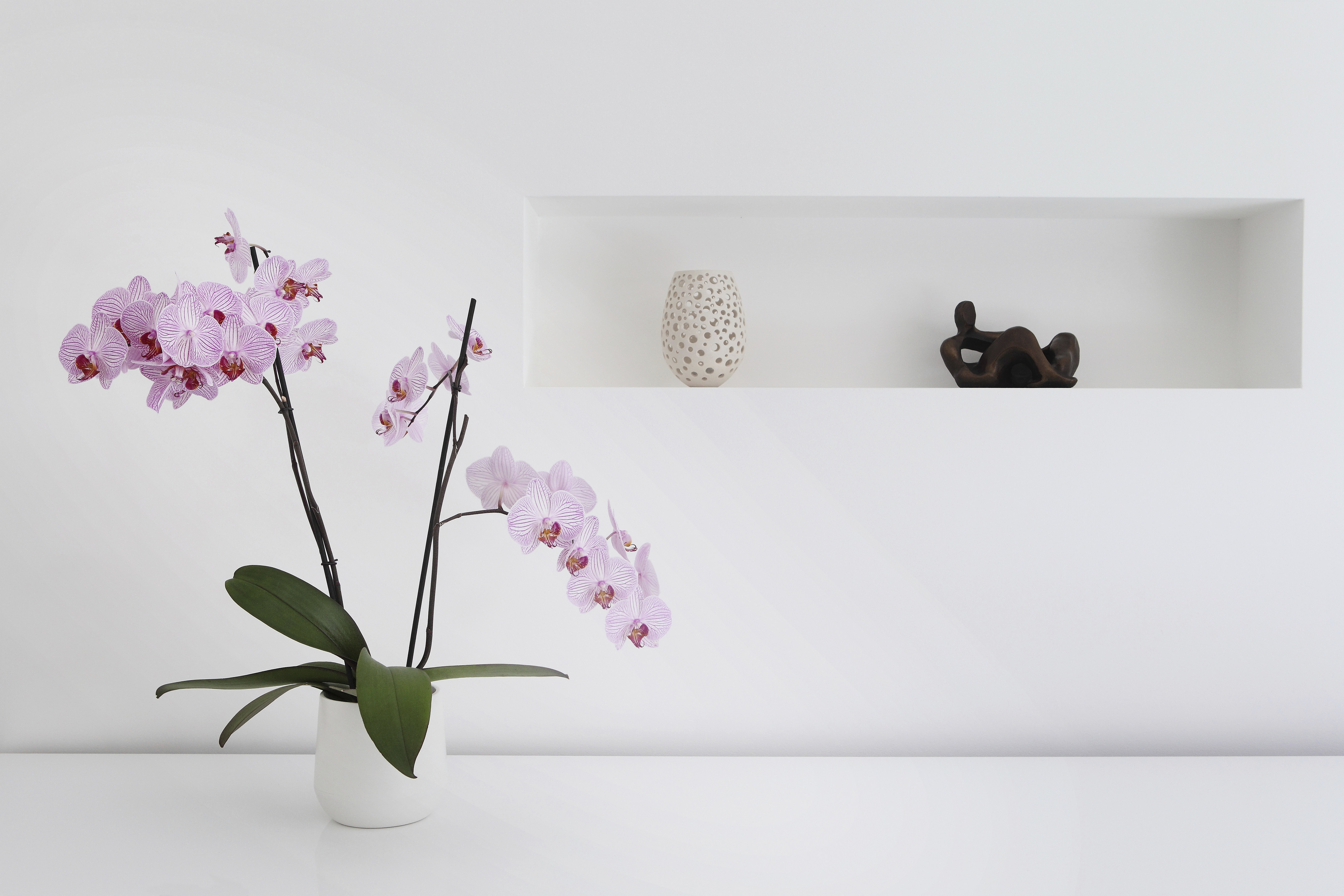 Rosa Orchideenpflanze und Ornamente im Zimmer | Quelle: Getty Images