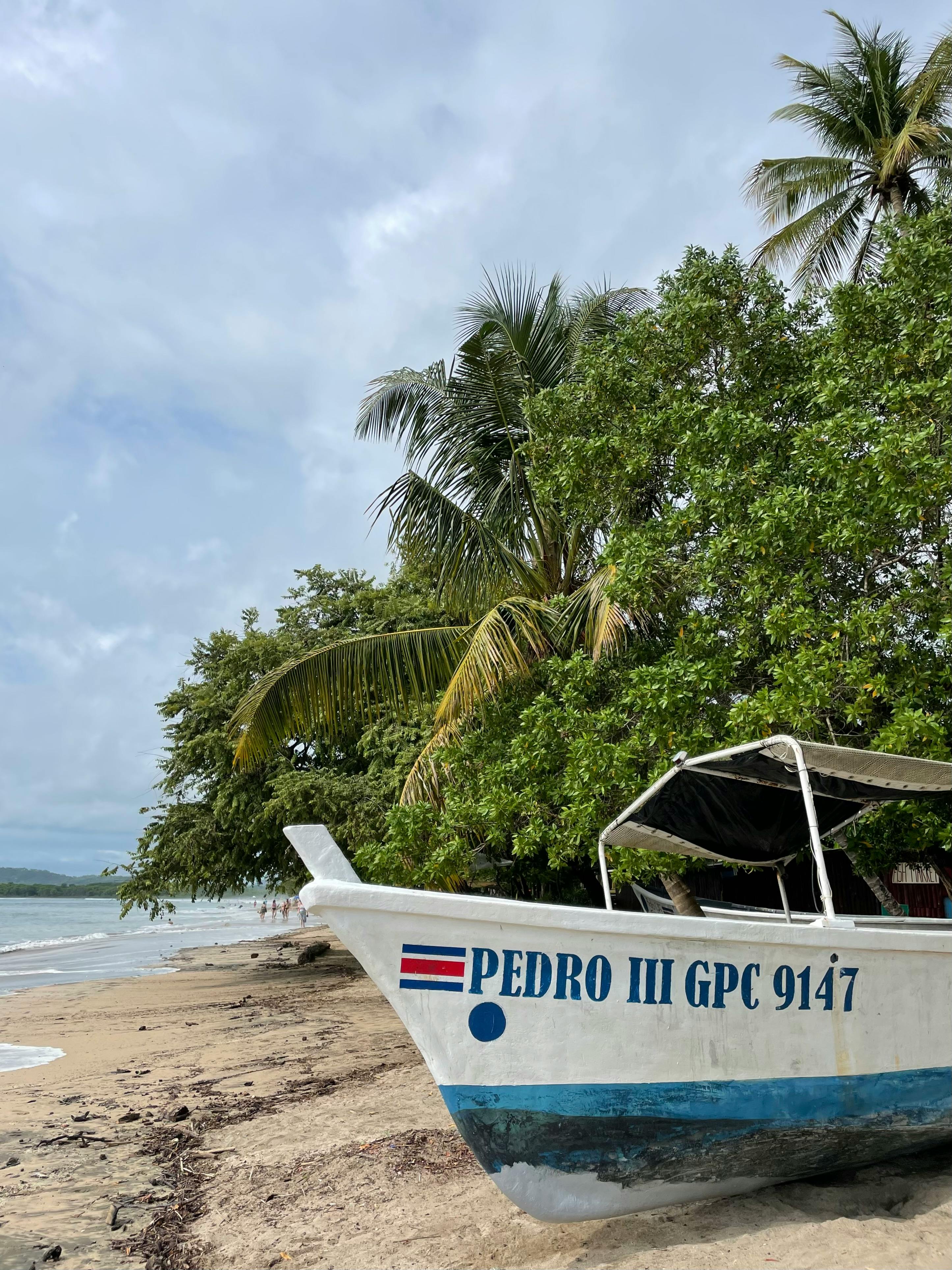 Ein Strand in Costa Rica | Quelle: Pexels
