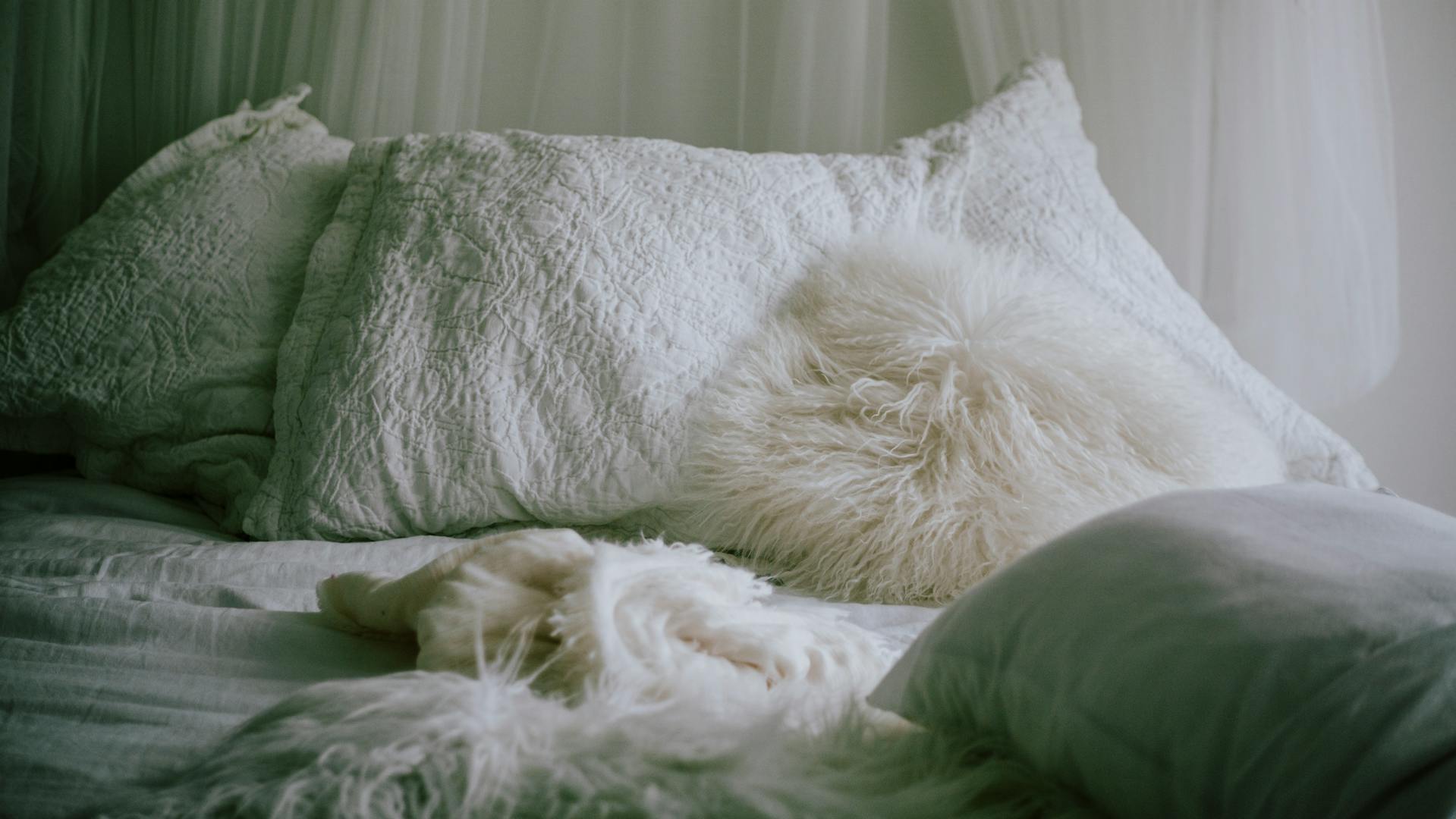 Ein bequemes Bett | Quelle: Pexels