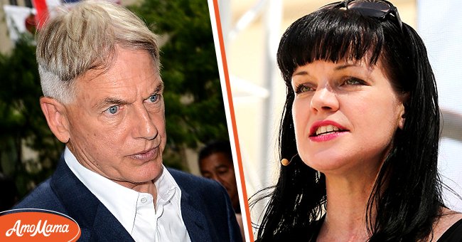 LINKS: Mark Harmon besucht die Sirius XM Studios, 2014, New York City. RECHTS: Pauley Perrette beim Los Angeles Times Festival of Books 2015 an der USC. | Quelle: Getty Images