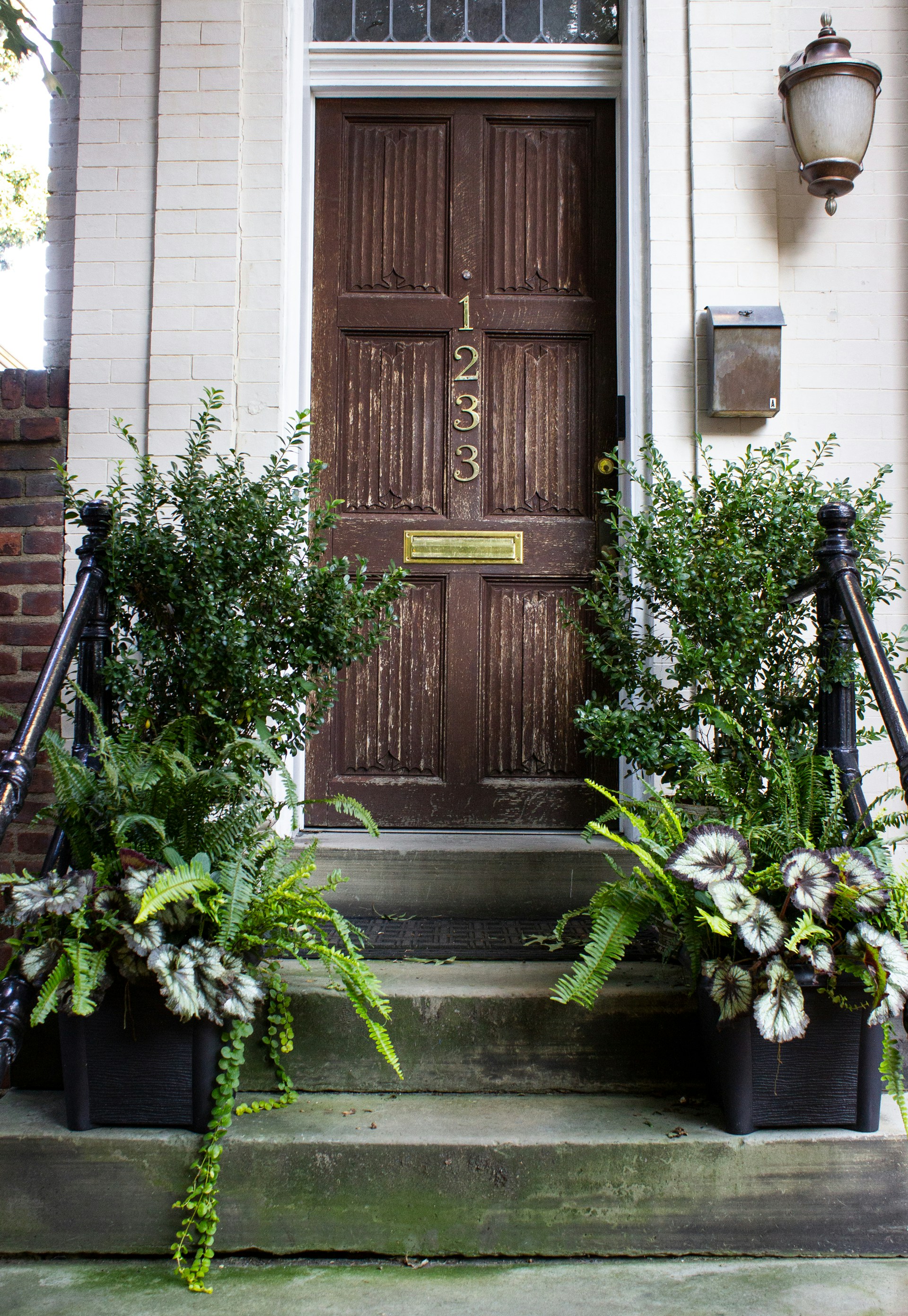 Eine braune Holztür mit grünen Pflanzen | Quelle: Unsplash