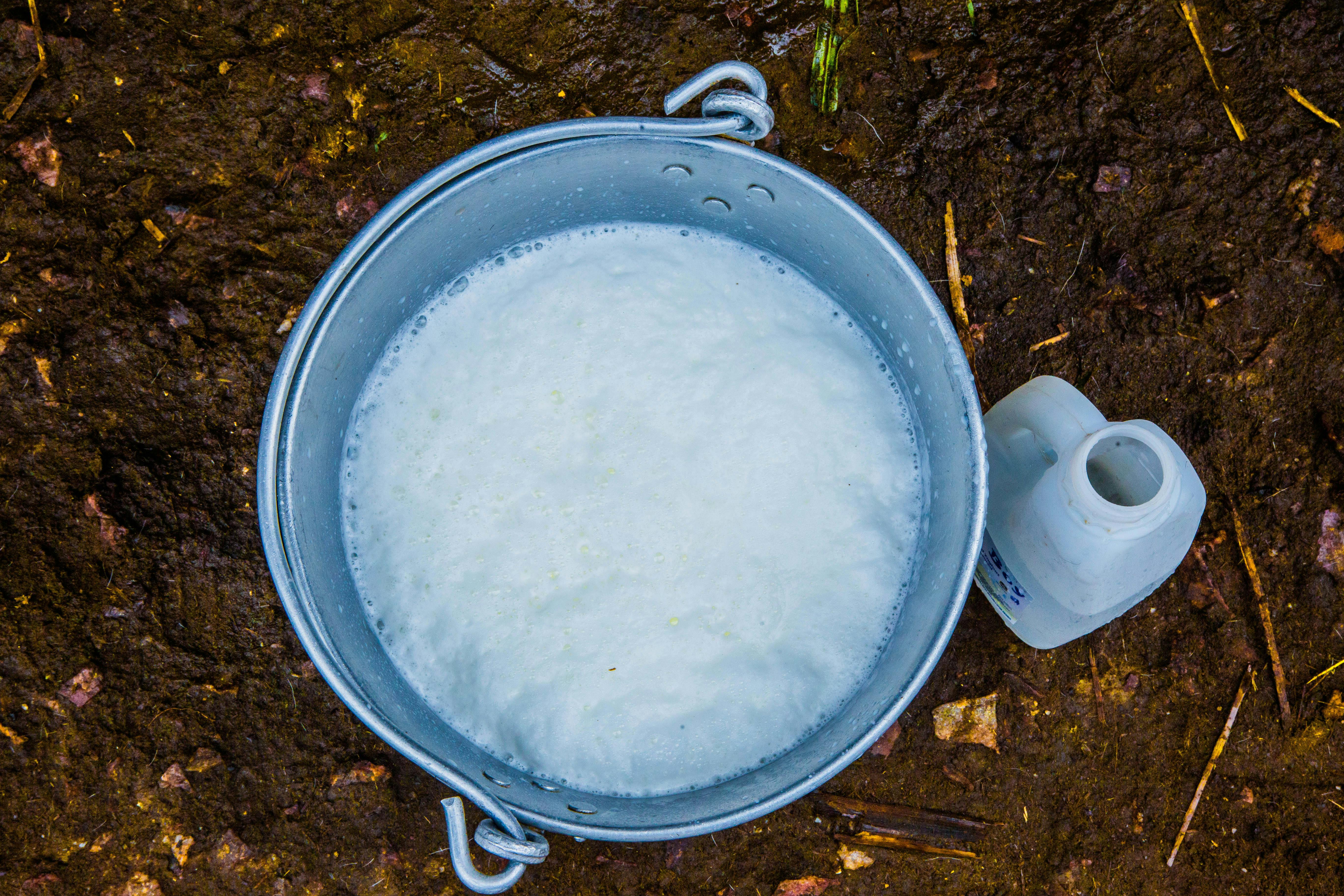 Ein Eimer mit Seifenwasser | Quelle: Pexels