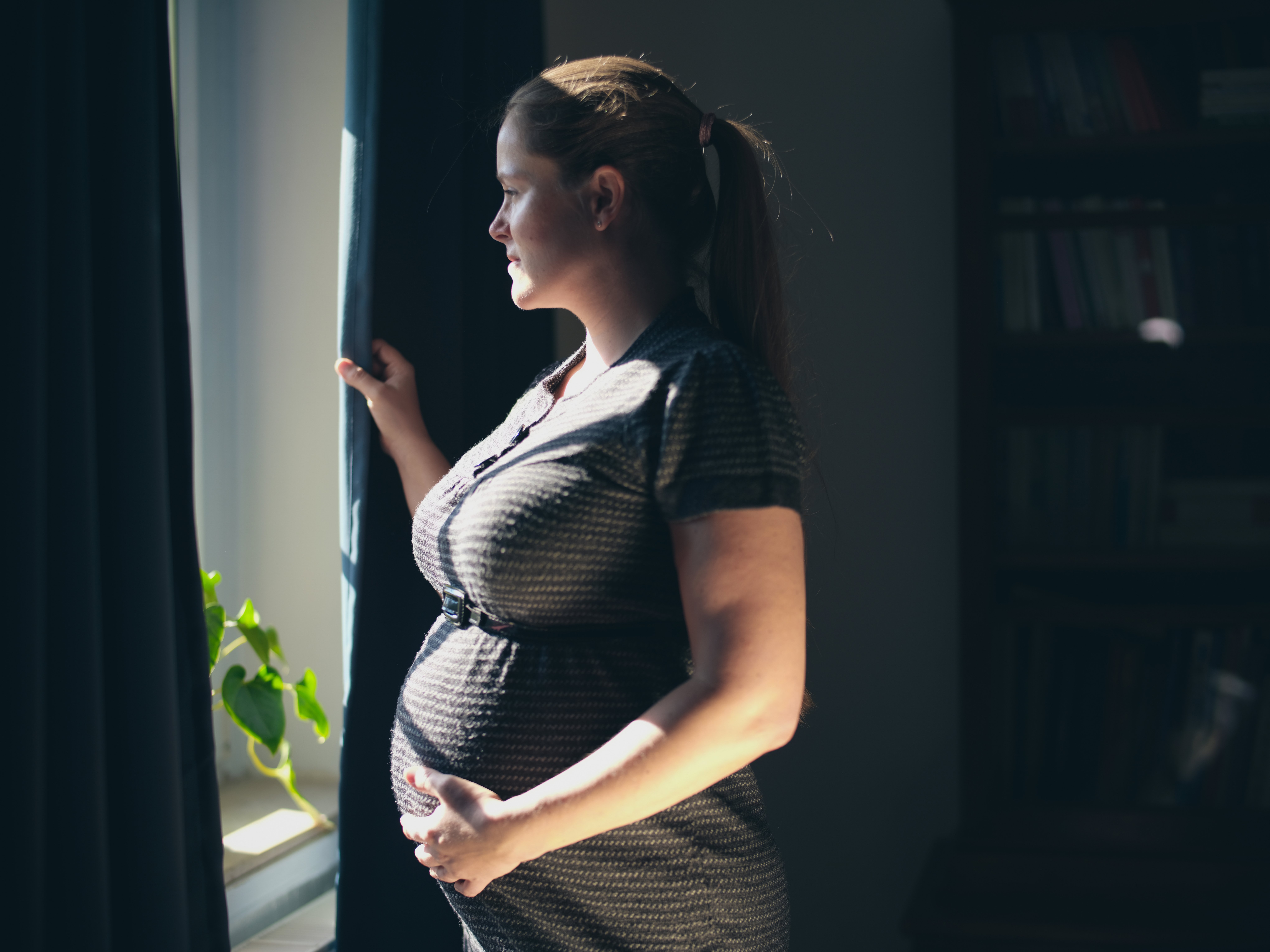 Eine schwangere Frau, die aus dem Fenster blickt | Quelle: Shutterstock