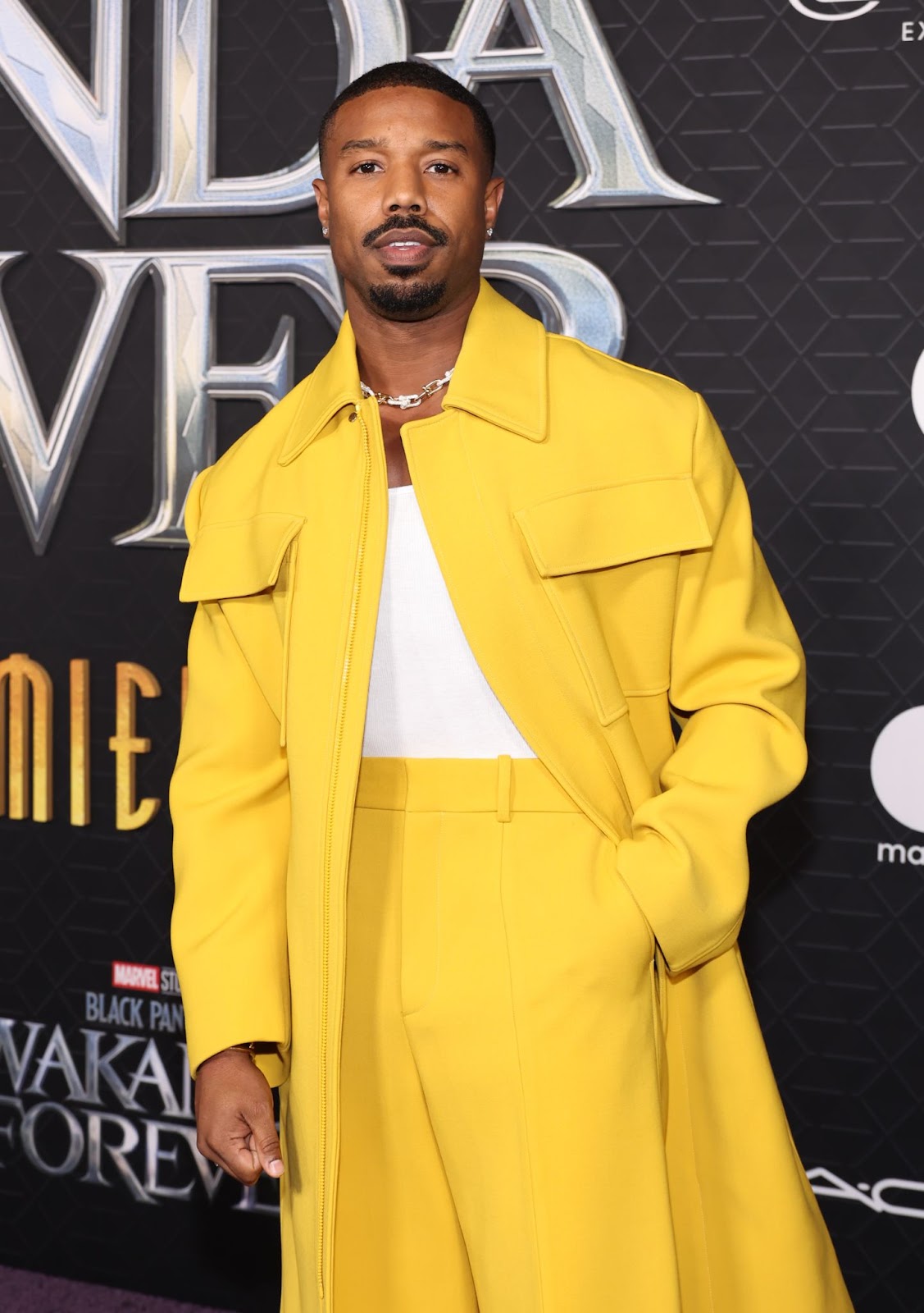 Michael B. Jordan bei der "Black Panther: Wakanda Forever" Premiere am 26. Oktober 2022 in Hollywood, Kalifornien. | Quelle: Getty Images