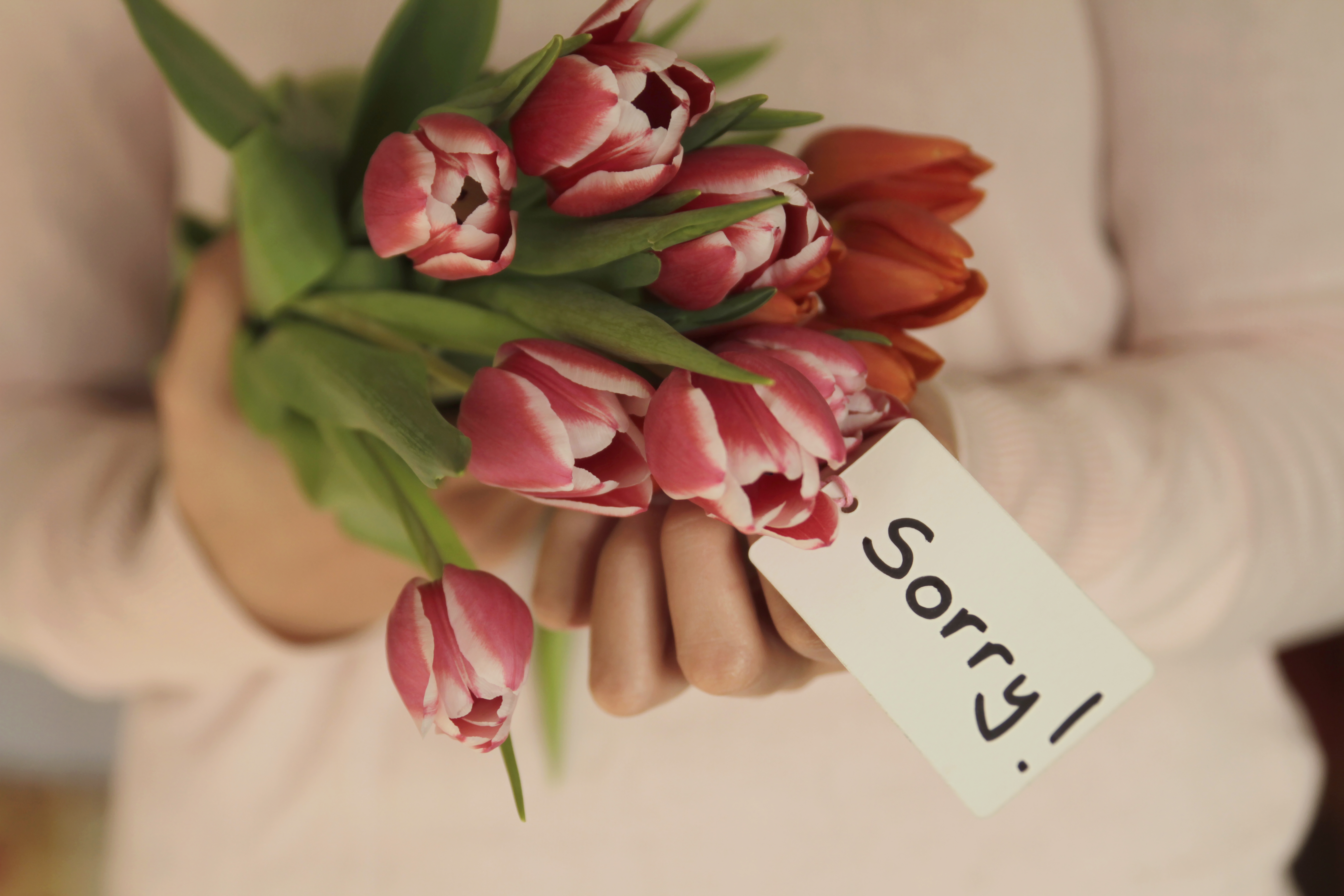 Blumen mit einer Entschuldigungsnotiz | Quelle: Getty Images