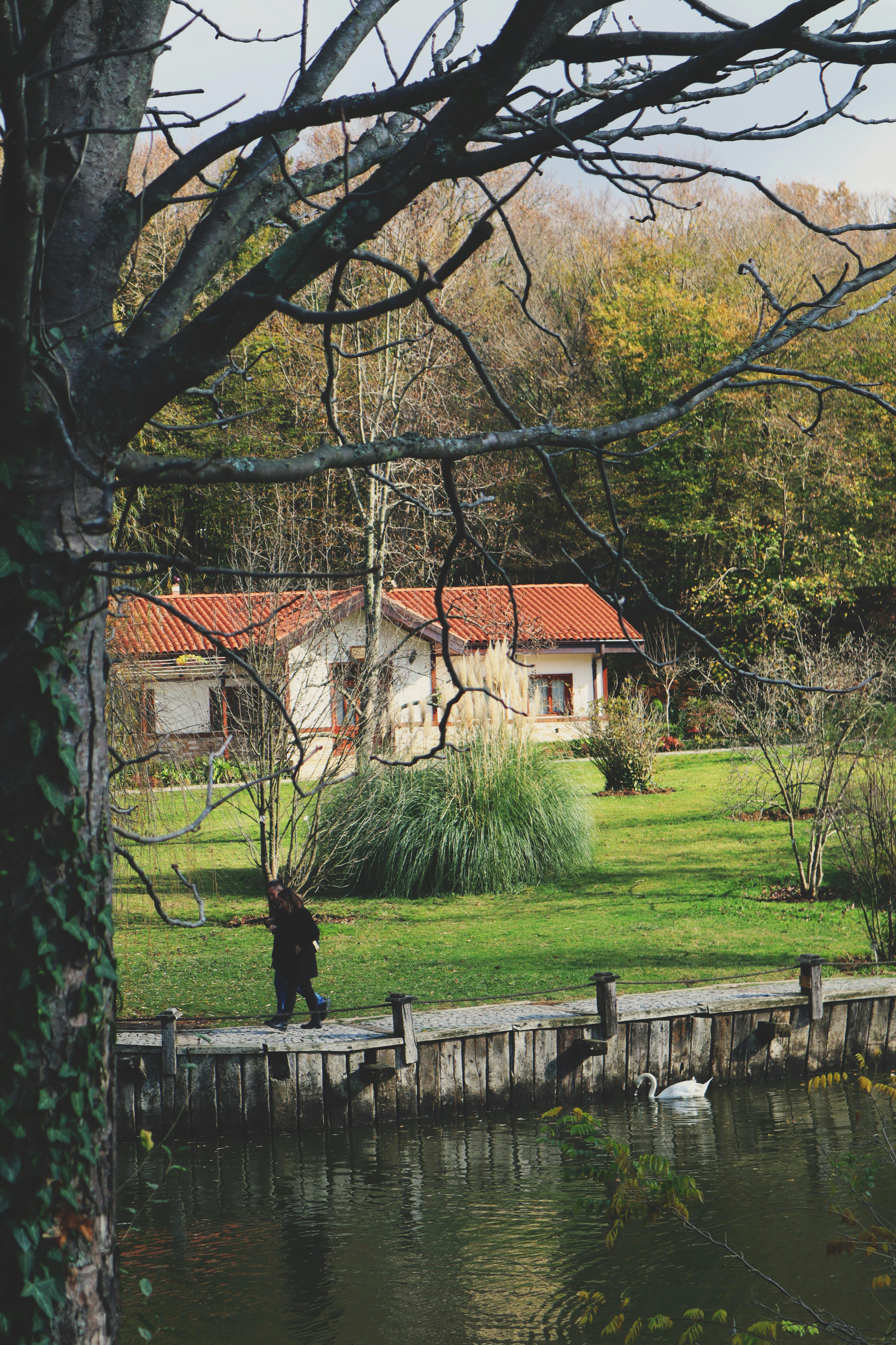 Hütte am See | Quelle: Pexels