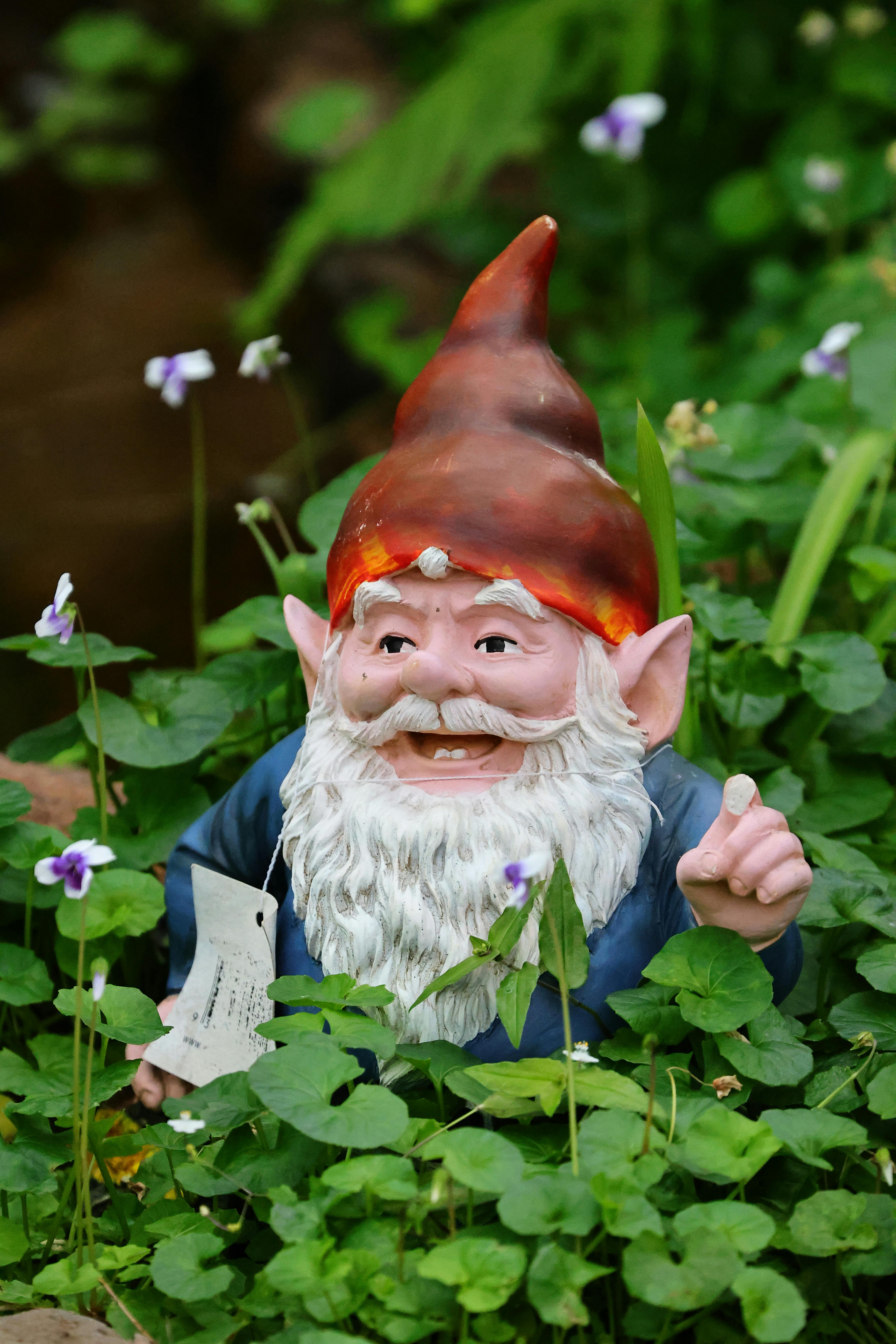 Gartenzwerg | Quelle: Pexels