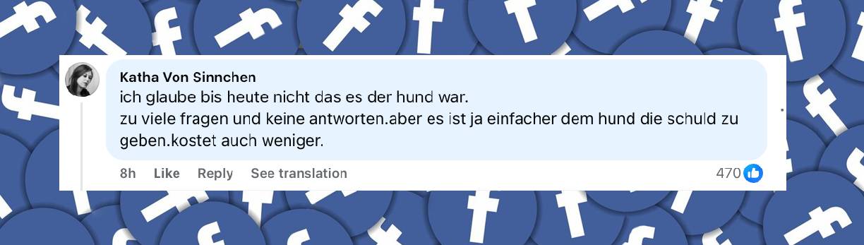 Facebook-Kommentar | Quelle: facebook.com/share/p/1AgMChw7f3/