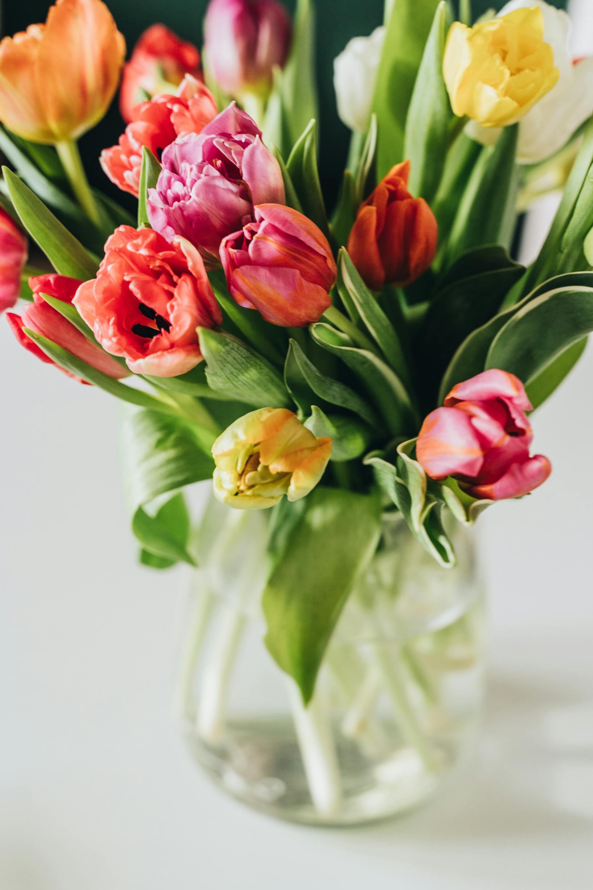 Tulpen in einer Vase | Quelle: Pexels