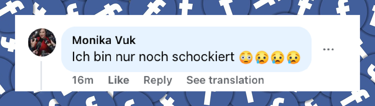 Nutzer-Kommentar | Quelle: Facebook/Schwäbische