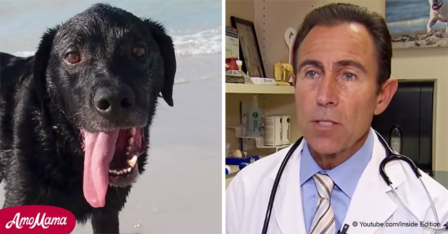 Am Boden zerstörter Mann warnt alle Hundebesitzer, nachdem sein eigener Hund wegen einer Salzwasservergiftung starb 
