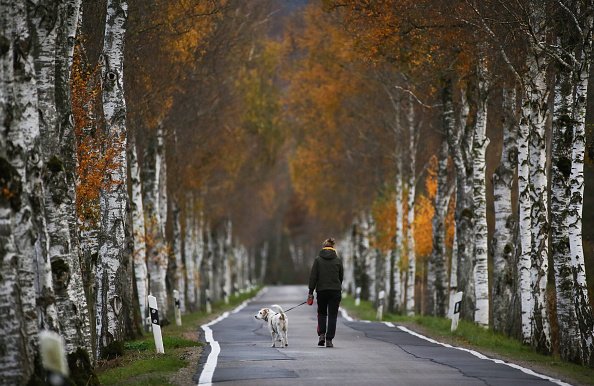 Frau geht mit Hund spazieren, Baden-Württemberg, 30. Oktober 2020 | Quelle: Getty Images