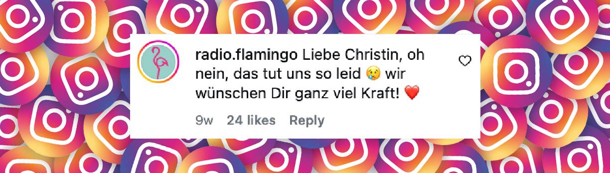 Fans reagieren auf die Schwangerschaft-Updates von Christin Stark | Quelle: instagram.com/reels/DU732woDQkX/