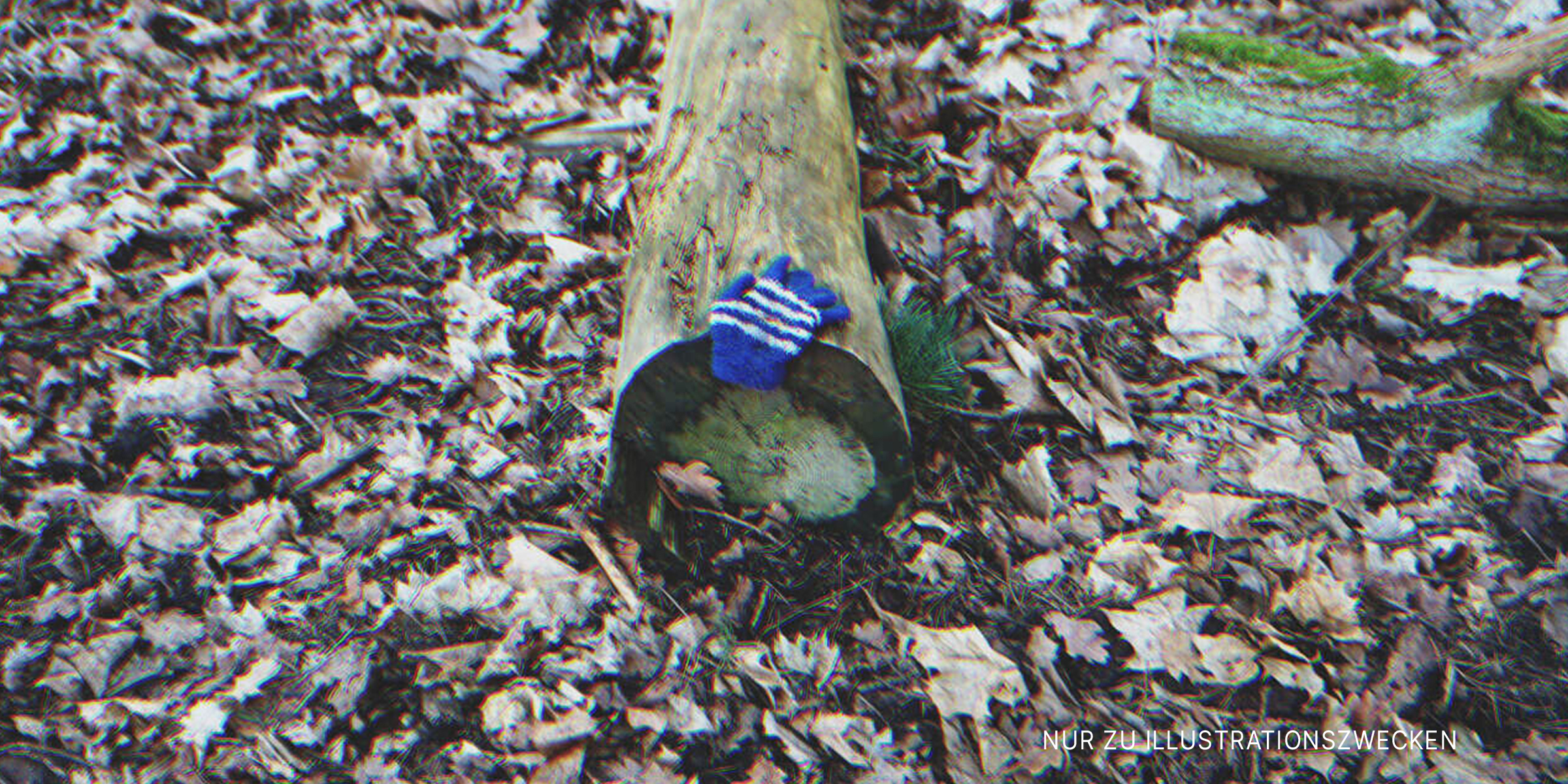 Kinderhandschuh, der auf einem umgefallenen Baumstamm liegt | Quelle: Shutterstock