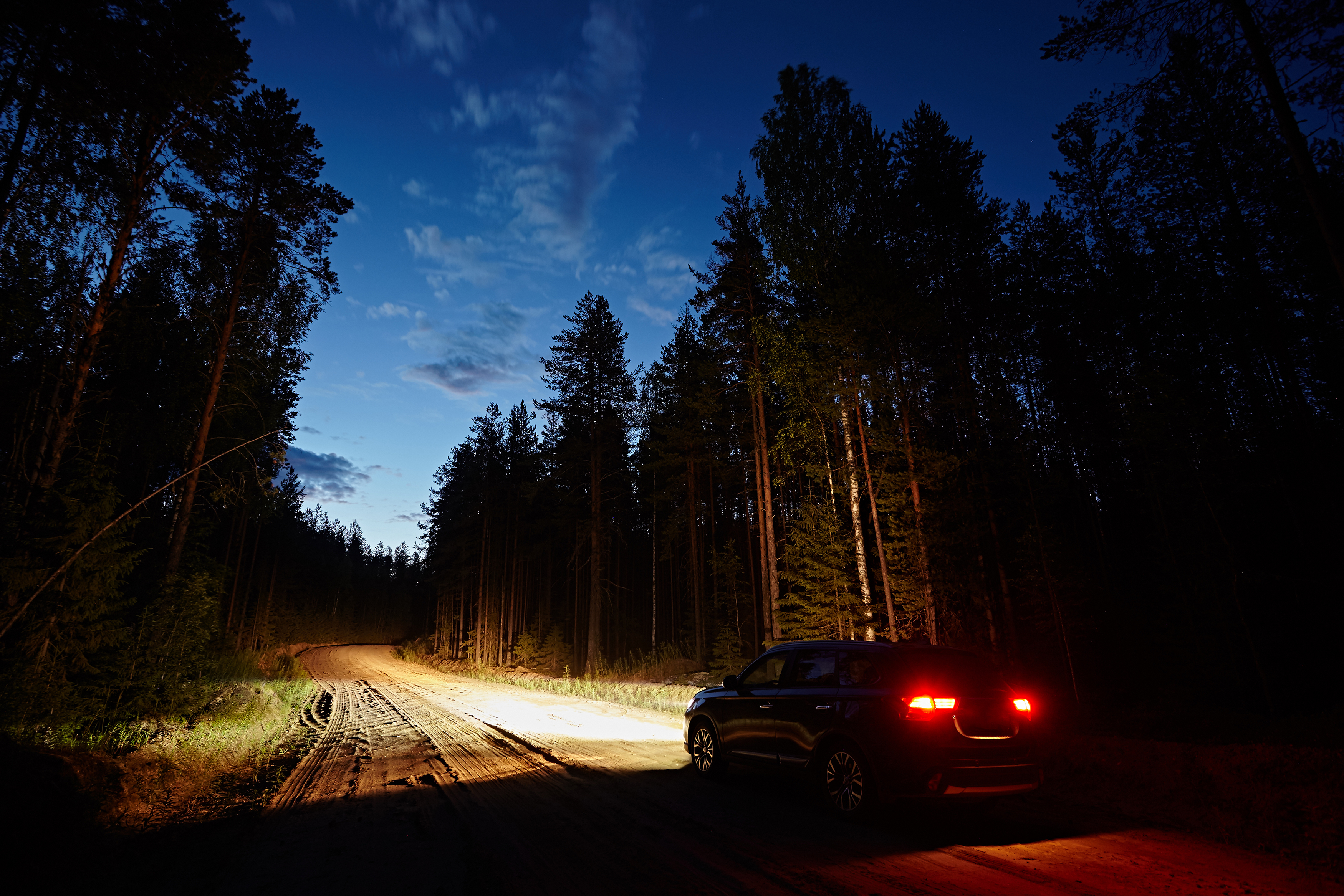 Ein Auto, das einen Feldweg im Wald entlangfährt | Quelle: Shutterstock