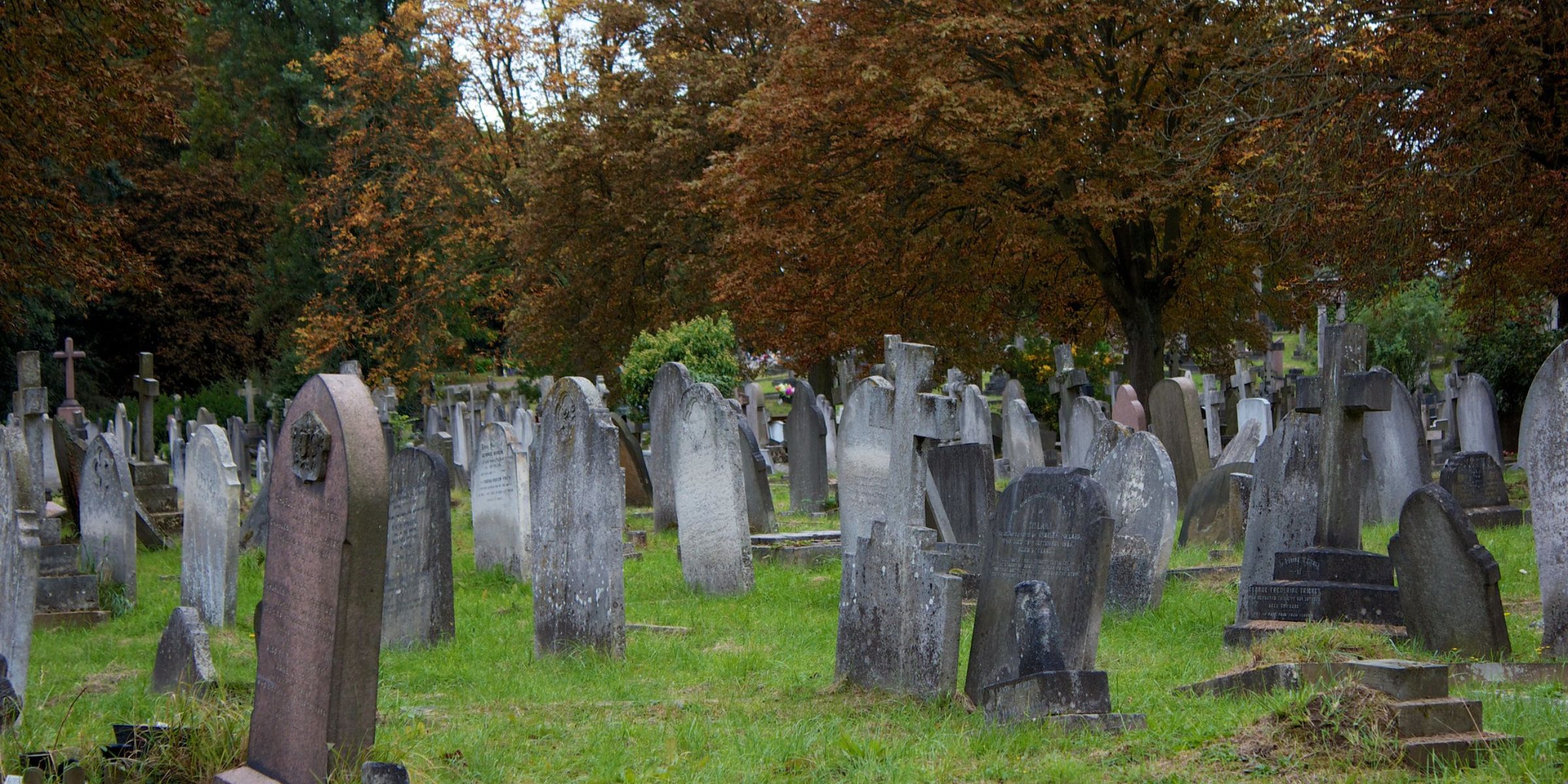 Grabsteine auf einem Friedhof | Quelle: Flickr