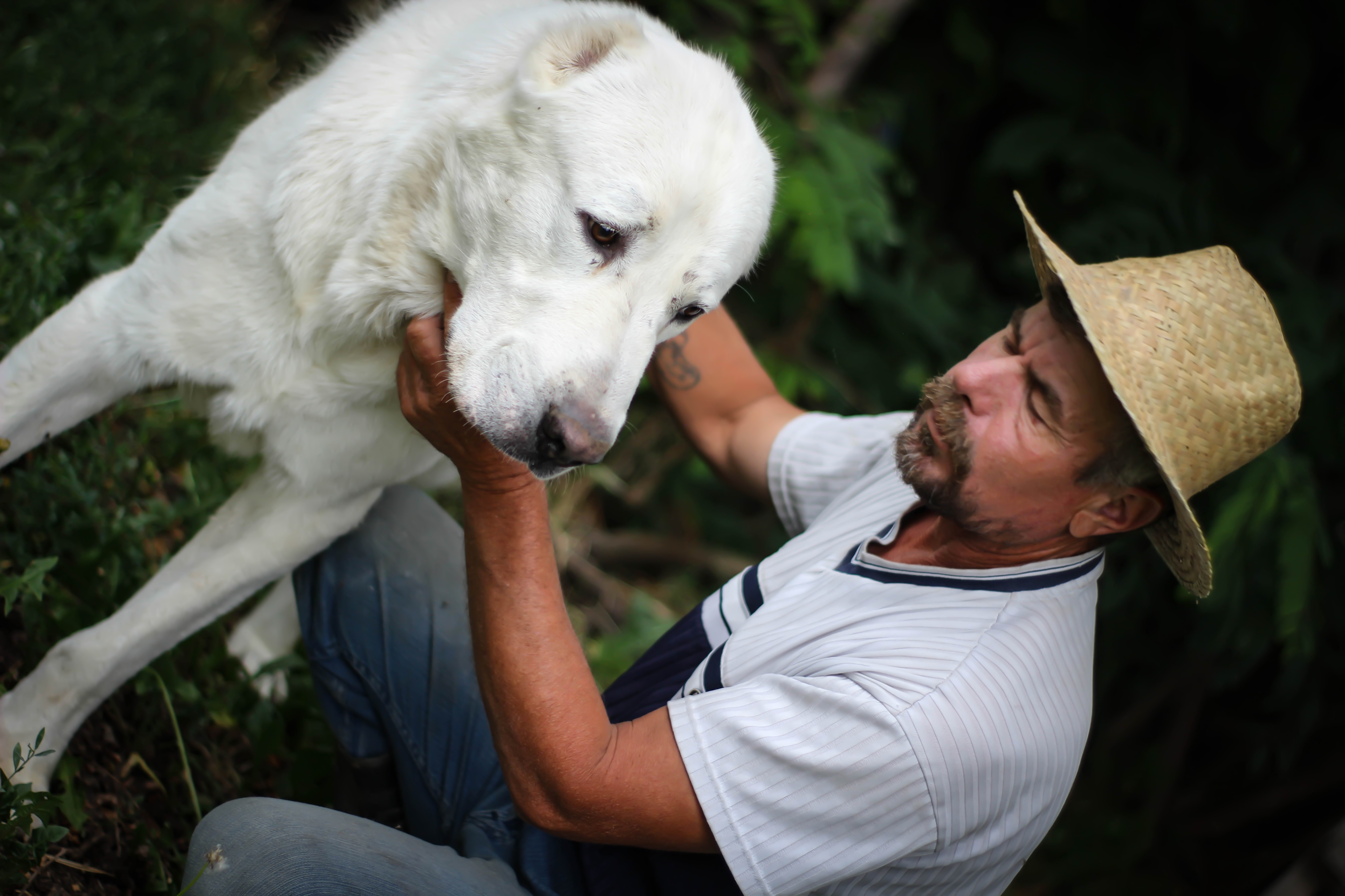 Ein Mann mit seinem Hund | Quelle: Getty Images