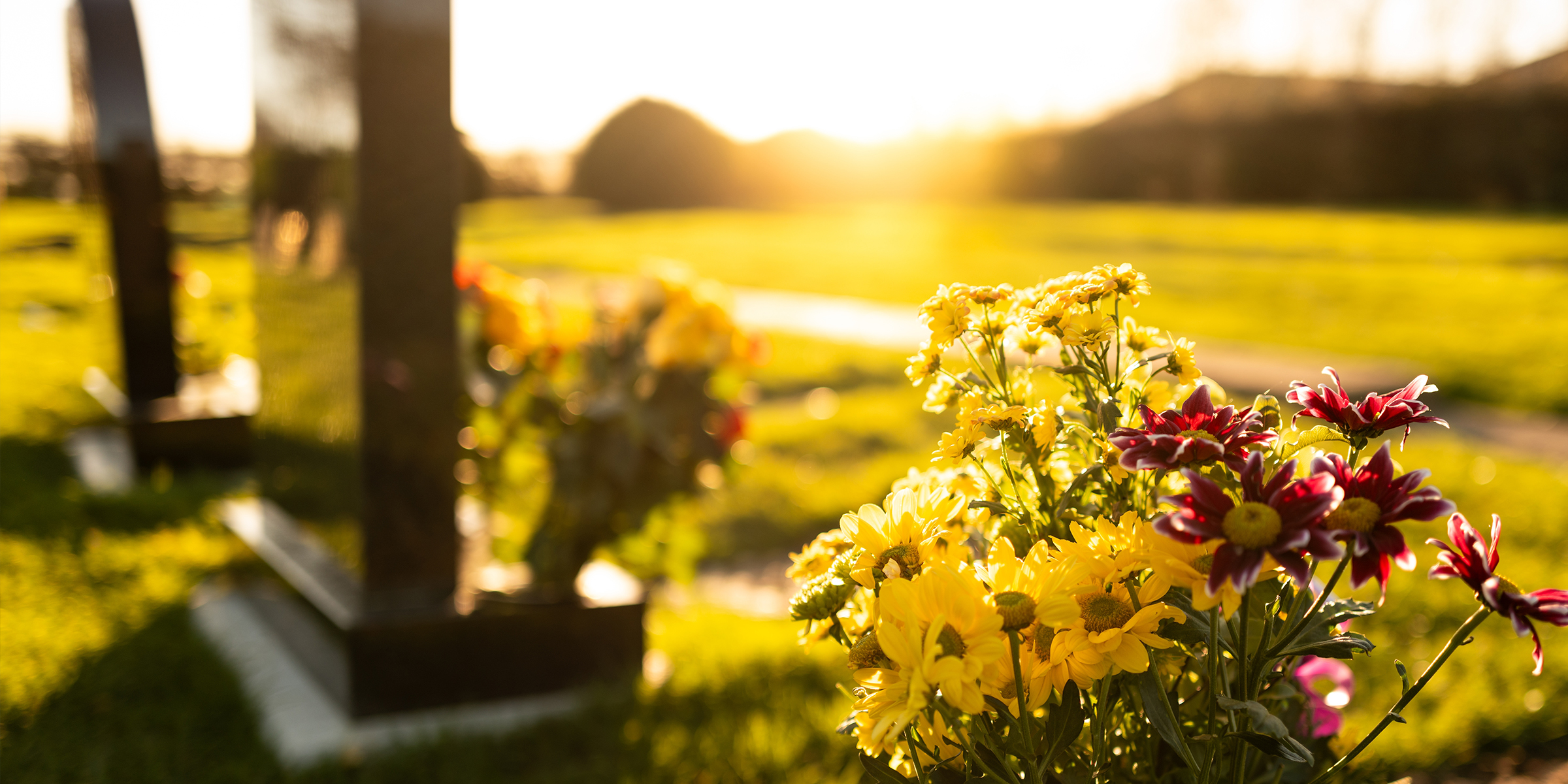 Ein Friedhof | Quelle: Shutterstock