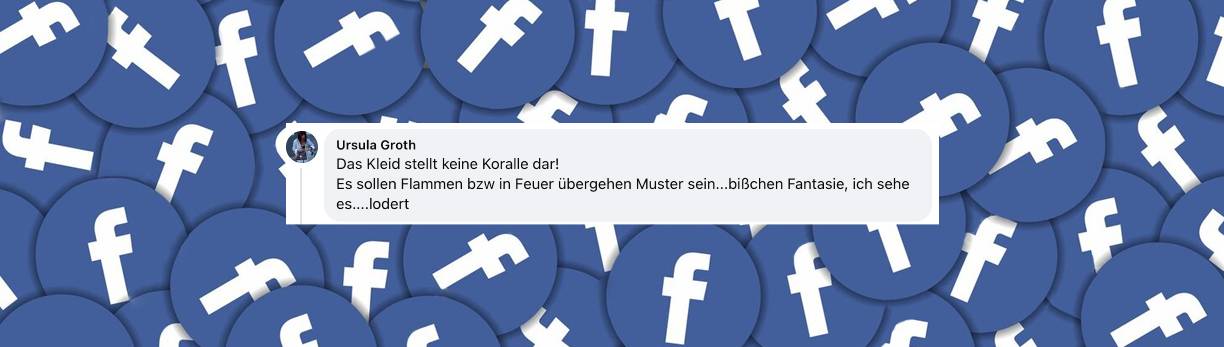 Nutzer-Kommentar | Quelle: Facebook/Sarah Engels