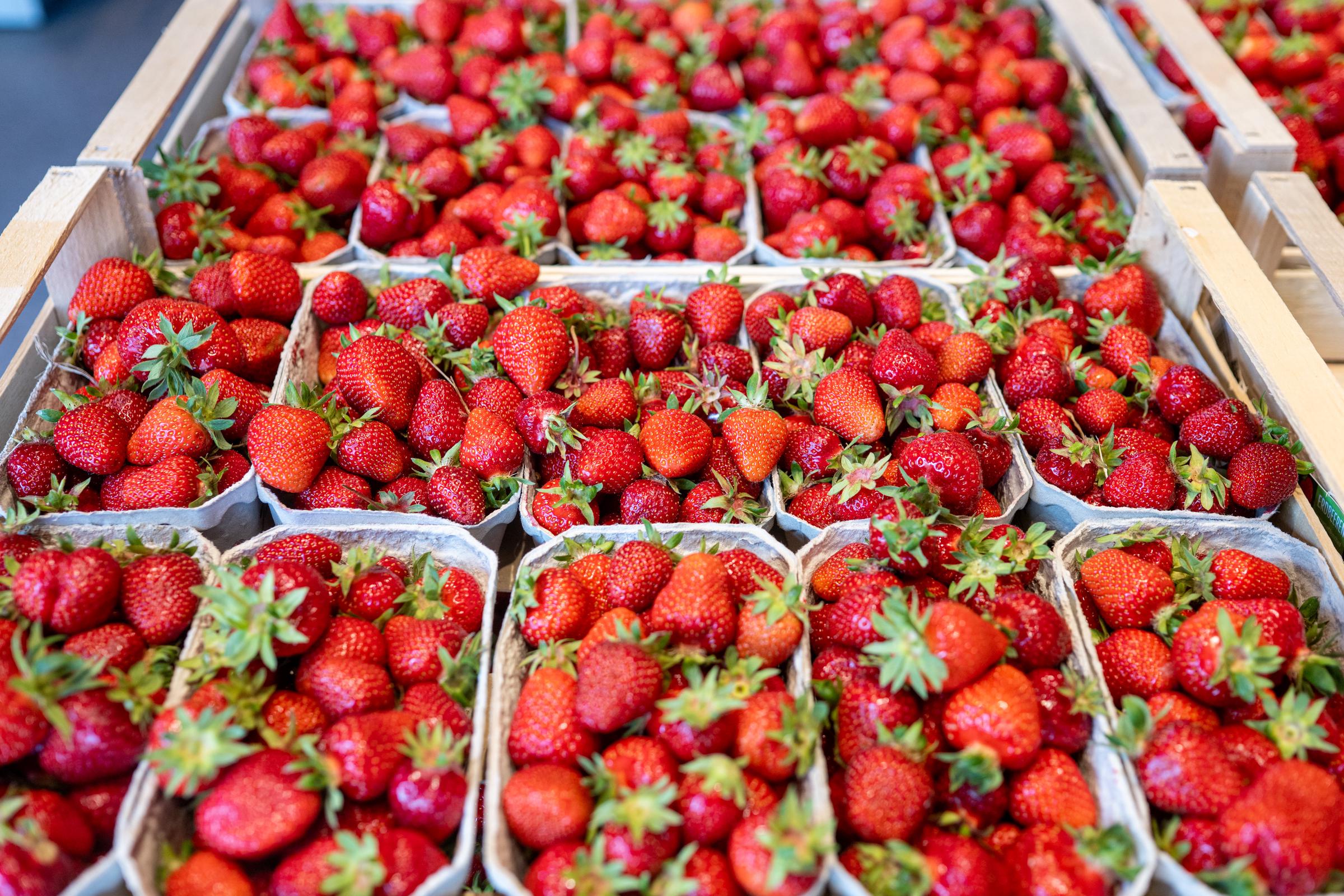 Erdbeeren, die in Schalen zum Verkauf angeboten werden, | Quelle: Getty Images