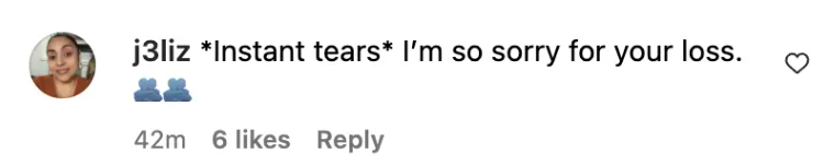 Fan-Kommentar zum Tribut von Matt LeBlanc, datiert auf den 14. November 2023 | Quelle: Instagram/mleblanc