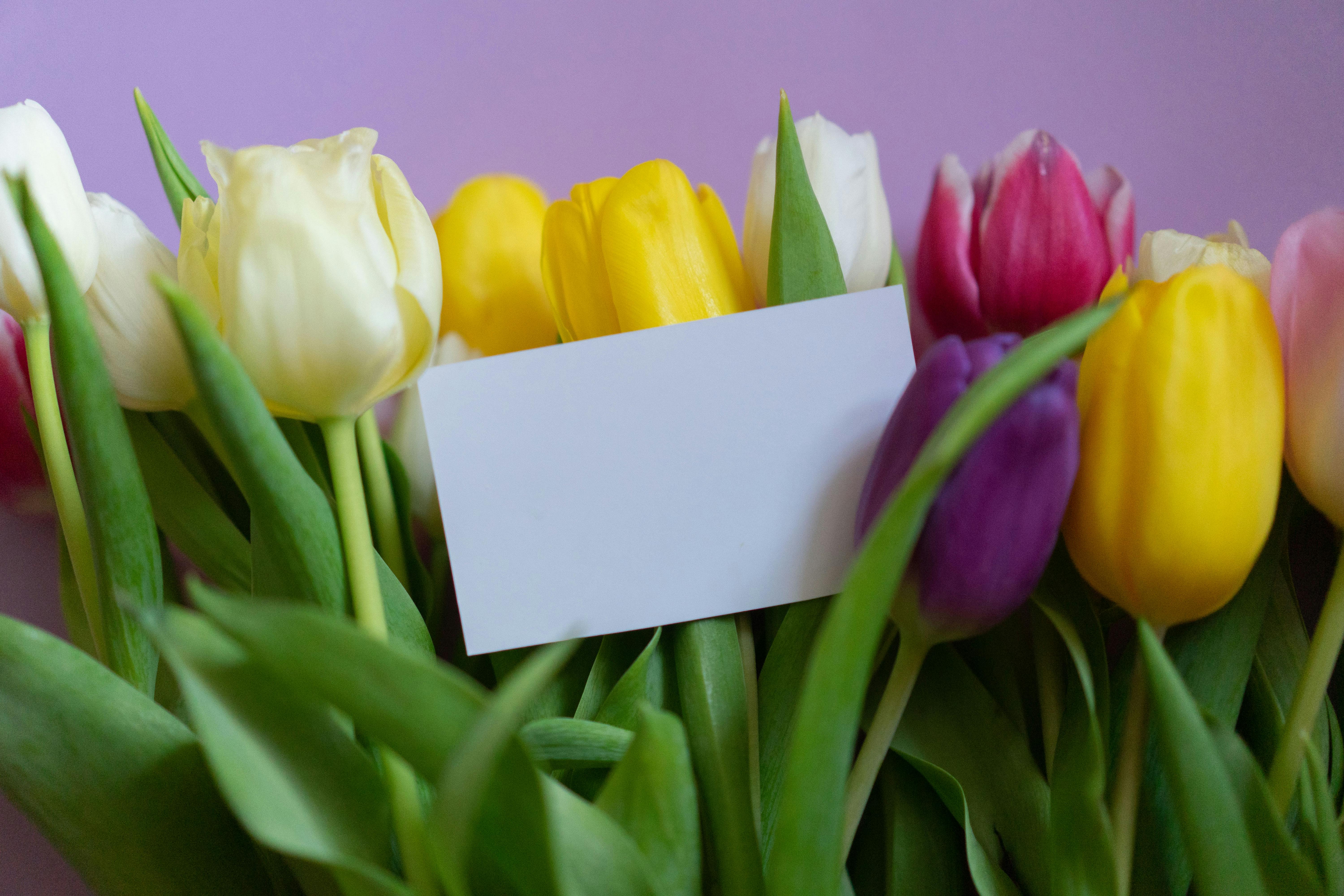 Eine Karte mit Blumen | Quelle: Pexels