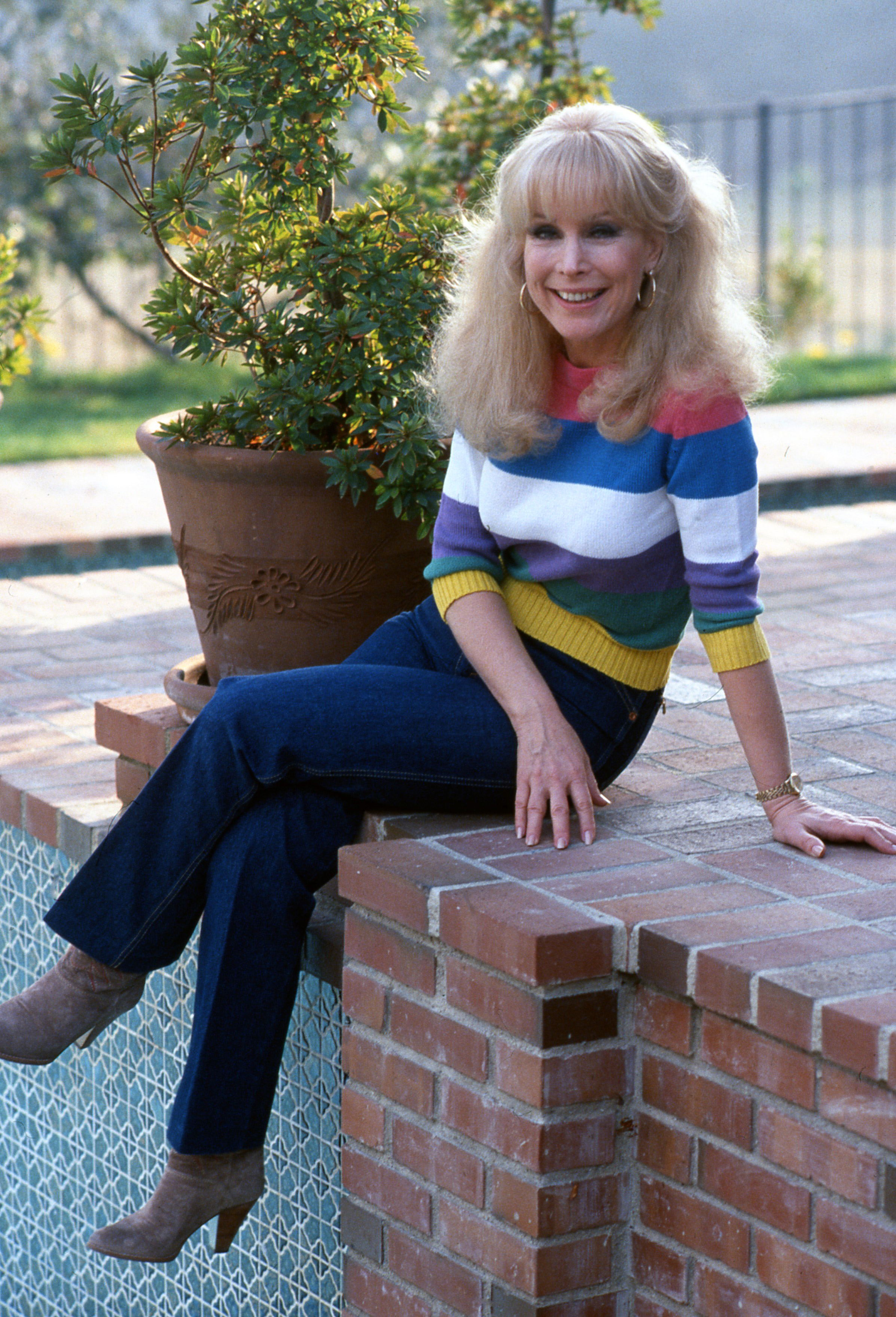 Barbara Eden posiert 1980 in Los Angeles, Kalifornien, für ein Porträt. | Quelle: Getty Images