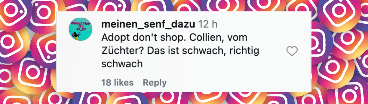 Nutzer-Kommentar | Quelle: https://www.instagram.com/reels/DZnevM5sP-3/
