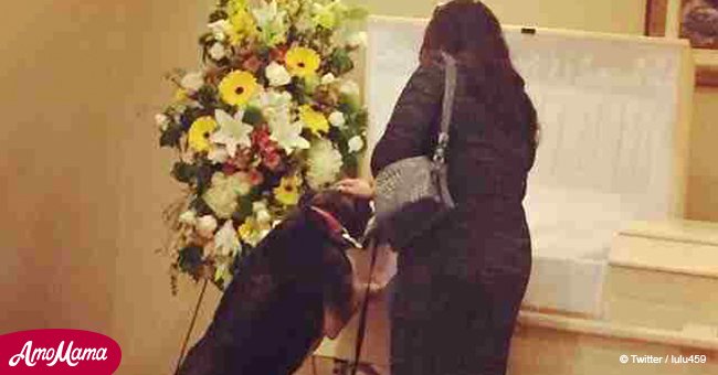 Ein trauernder Hund besucht die Beerdigung von seinem Besitzer, der plötzlich gestorben ist