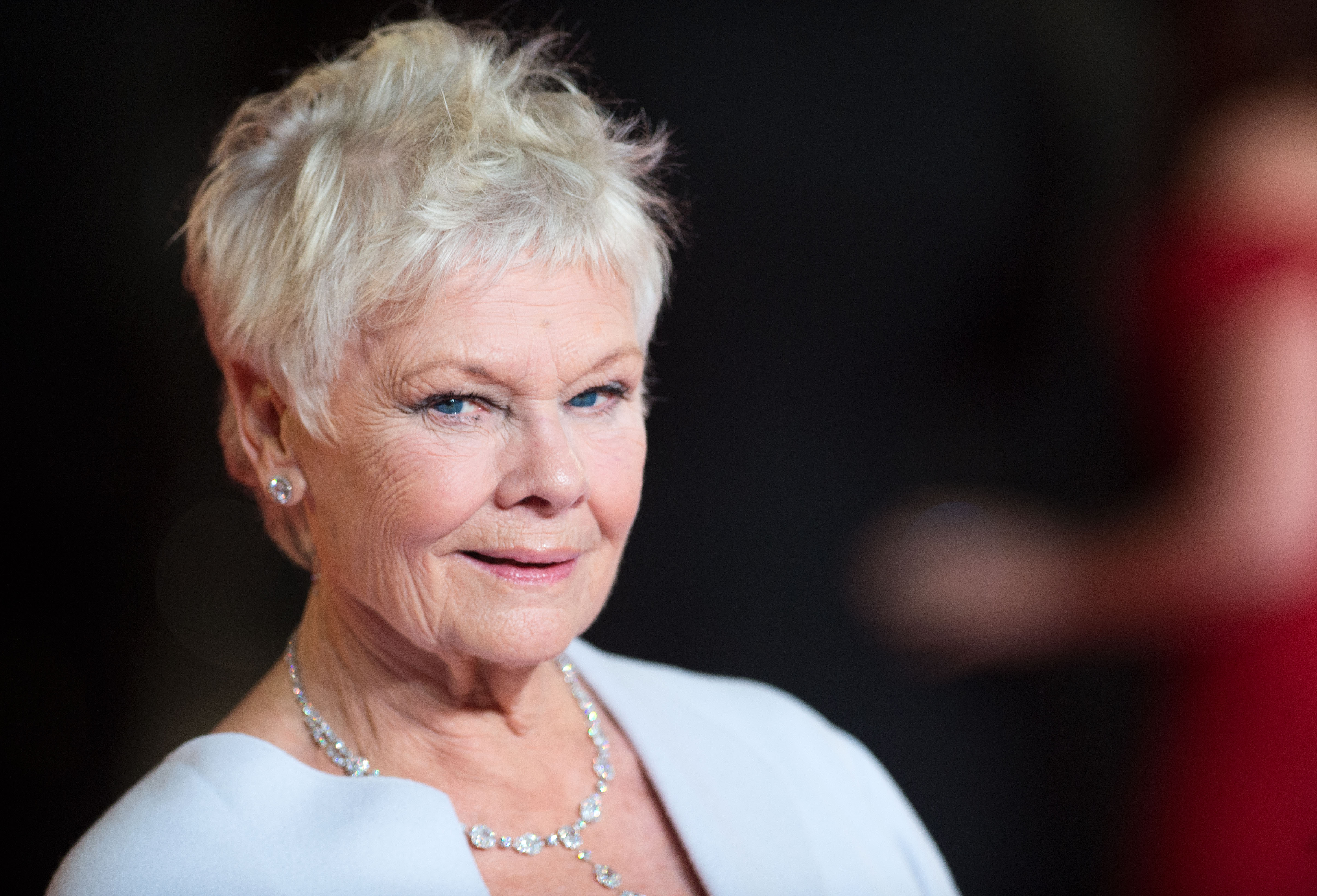 Dame Judi Dench am 23. Oktober 2012 in London, England | Quelle: Getty Images