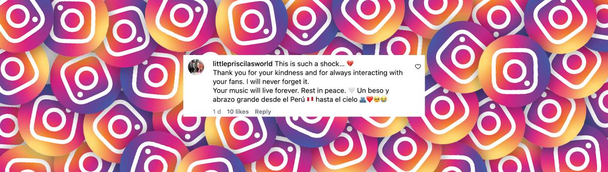 Nutzer kommentiert den Tod des Sängers | Quelle: Instagram/wolfgang_heichel_original