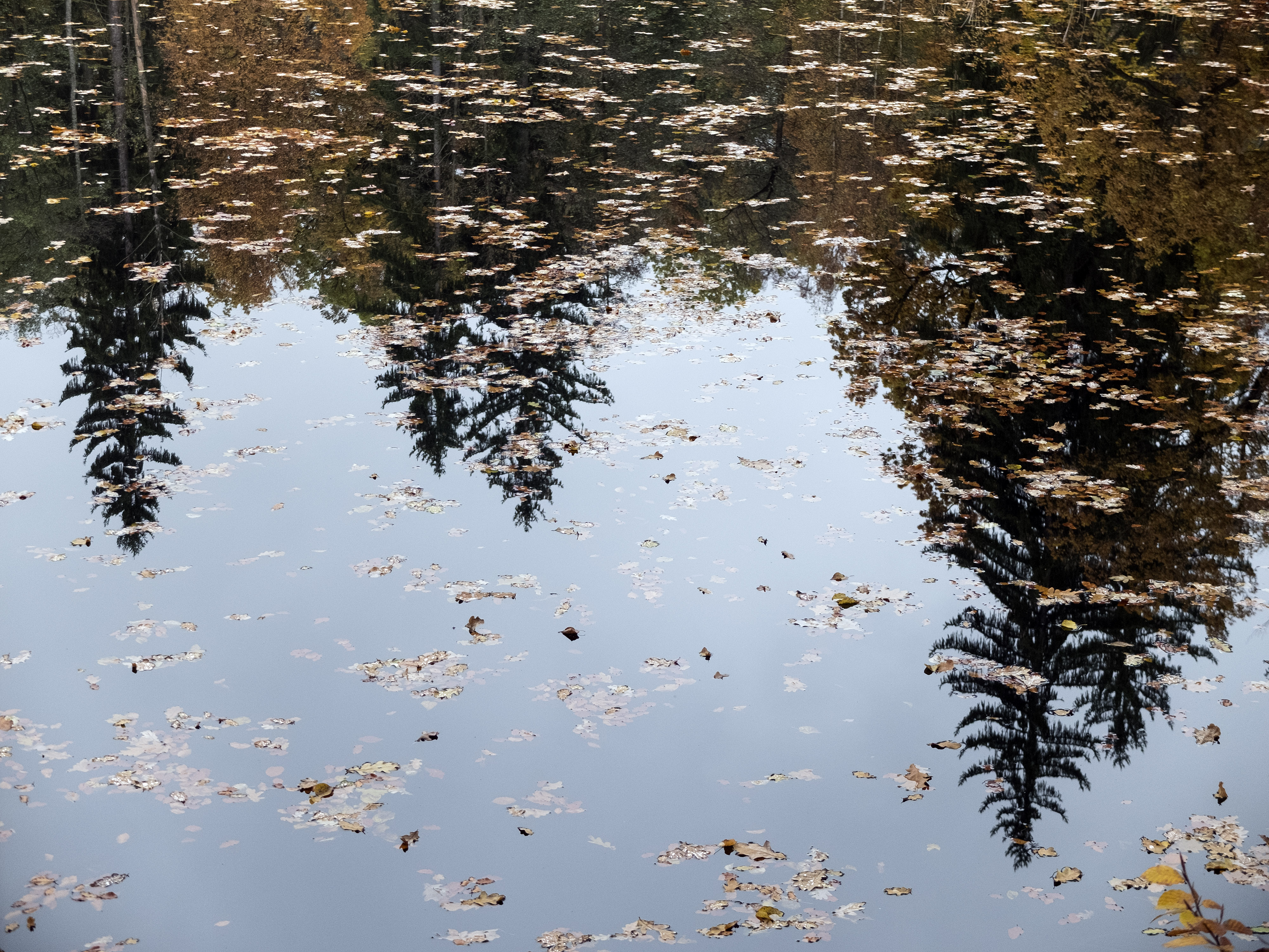 Symbolbild | Quelle: Getty Images