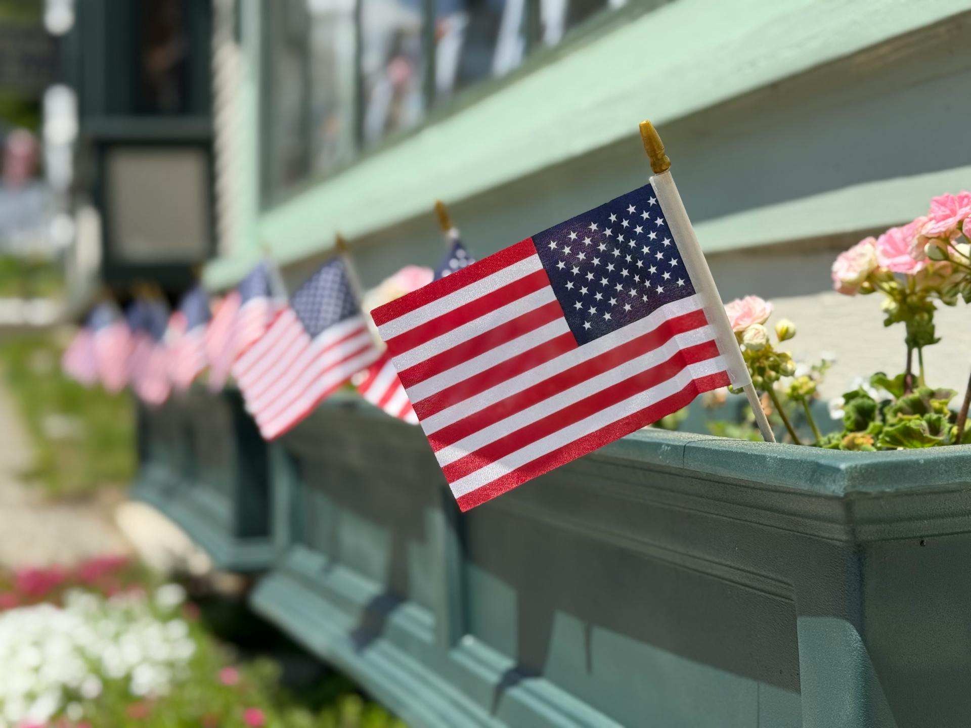 Ein Foto, auf dem amerikanische Flaggen in Blumenbeeten zu sehen sind | Quelle: Pexels