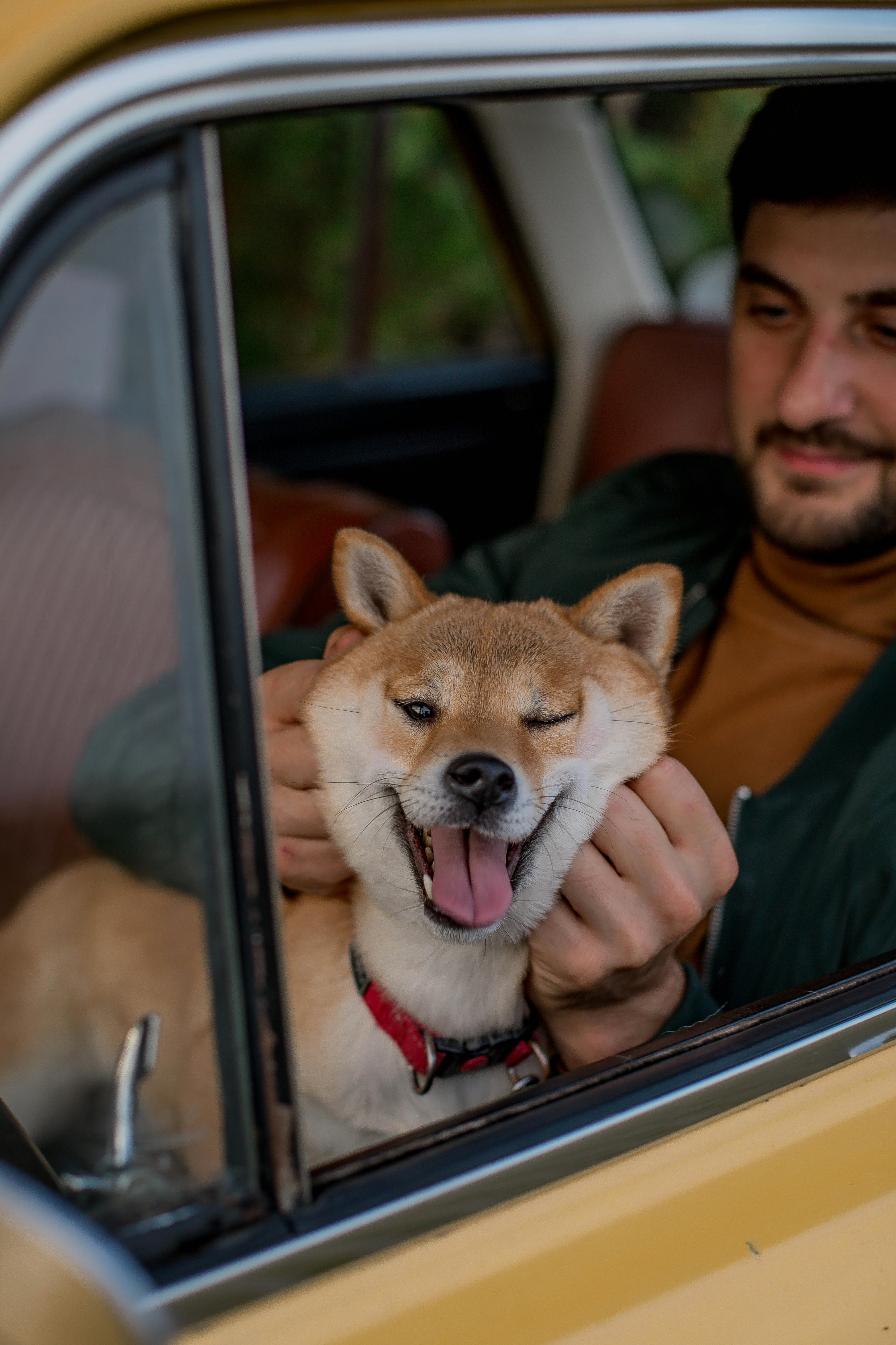 Ein Mann sitzt mit einem Hund in einem Auto | Quelle: Pexels