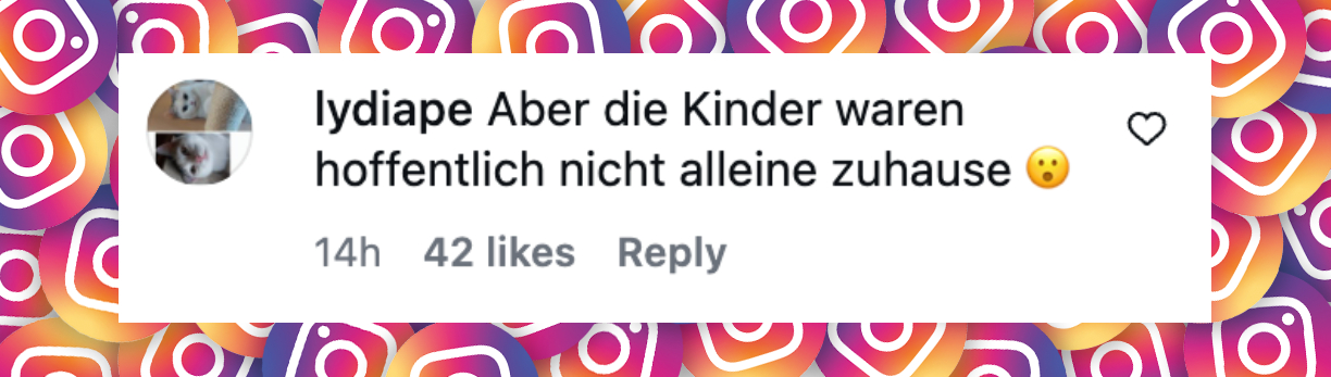 Nutzer-Kommentar | Quelle: Instagram/silviaswollny