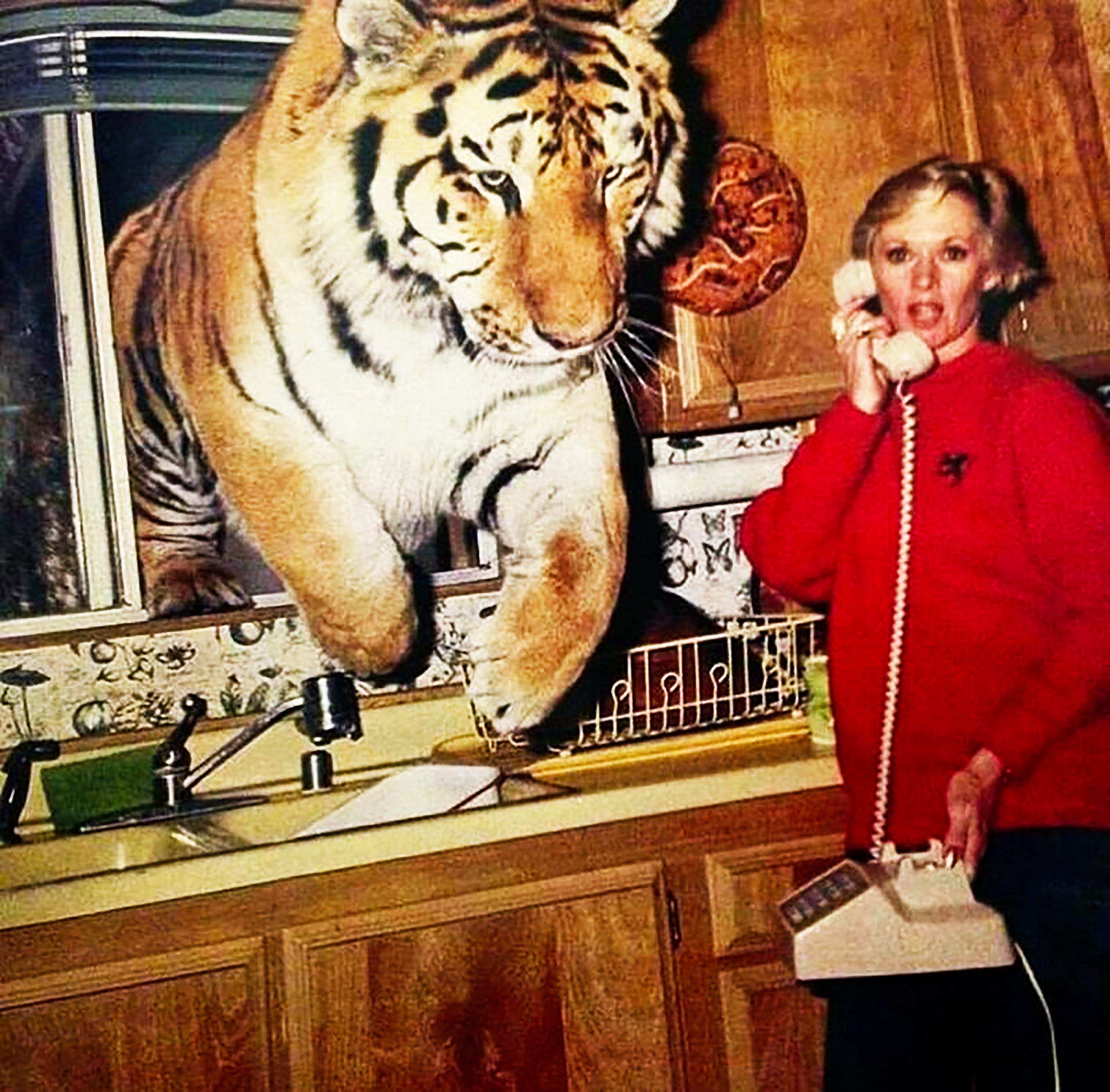 Tippi Hedren und ein Tiger namens Zoe in der Küche ihres Hauses in Acton, Kalifornien, im Jahr 1994. | Quelle: Getty Images