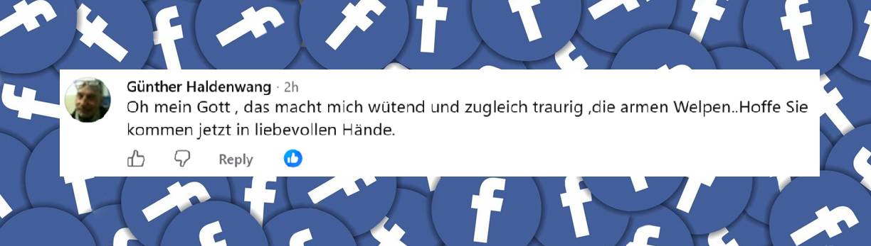 Leser kommentieren die Nachrichten | Quelle: facebook.com//bild/posts/pfbid0RvfRwkjC8DPSVkwE2Kj6KRWPeR2sJzMV1y255451nhXCyV8K8baGkRq4qVcaW5rkl?rdid=HuiwLvXcBtOr1Nzo#